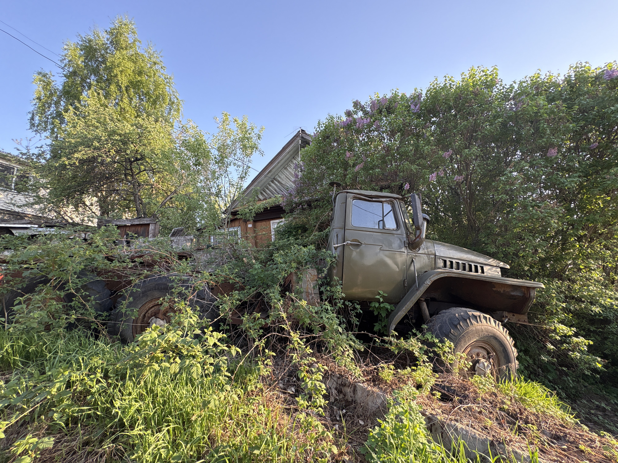 A green military truck, possibly a Ural-375, is overgrown with vegetation near a dilapidated wooden house in Chaikovsky, Russia. The truck is partially obscured by tall grass, weeds, and bushes, blending into the surrounding greenery. The wooden house, with its weathered siding and visible roof structure, suggests age and possible abandonment. Lilac bushes are blooming next to the vehicle. The scene is bathed in sunlight under a clear, blue sky.