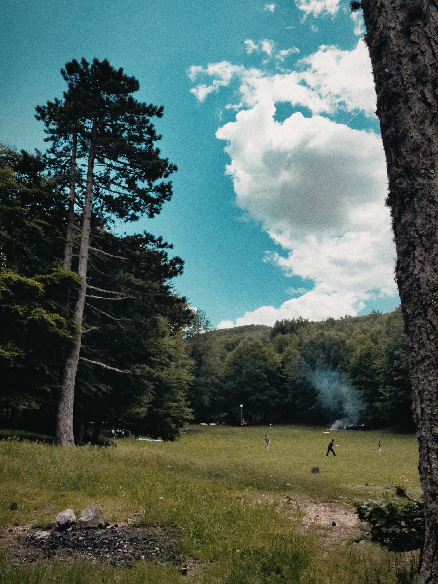 The image depicts an outdoor scene in Dolovi, Montenegro. It appears to be a recreational area. Tall grass covers the foreground, leading to a grassy field where several people are scattered. One individual is walking across the field. Smoke is rising from an area within the field near a line of trees. There's a stand of trees to the left of the field. In the foreground, near the bottom edge of the frame, there's an area with what appears to be remains of a previous fire. A tall tree stands on the left side of the frame. A tree trunk is visible on the right edge. The sky is blue with puffy white clouds.