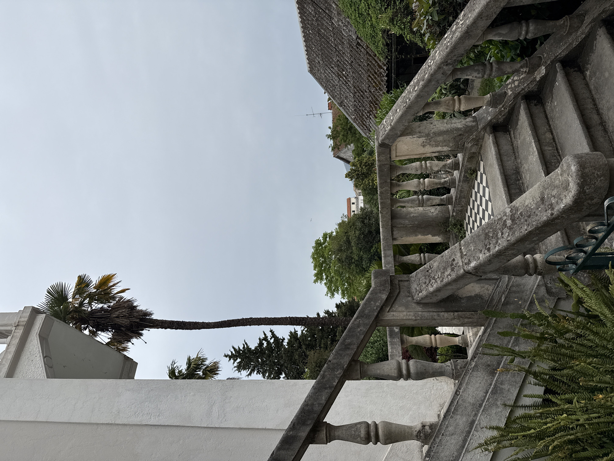The image shows a low-angle view of stone stairs and a building in Herceg Novi, Montenegro. The sky is overcast. The right side of the image is dominated by a stone staircase with balusters. Some of the stairs feature black and white checkered tiles. The stone is weathered and covered with moss. To the left of the stairs, a white building with a palm tree growing beside it is visible. The palm tree extends horizontally across the frame, towards a conifer. The top of the image shows a building with a tiled roof and green foliage. Ferns are visible in the lower right corner.