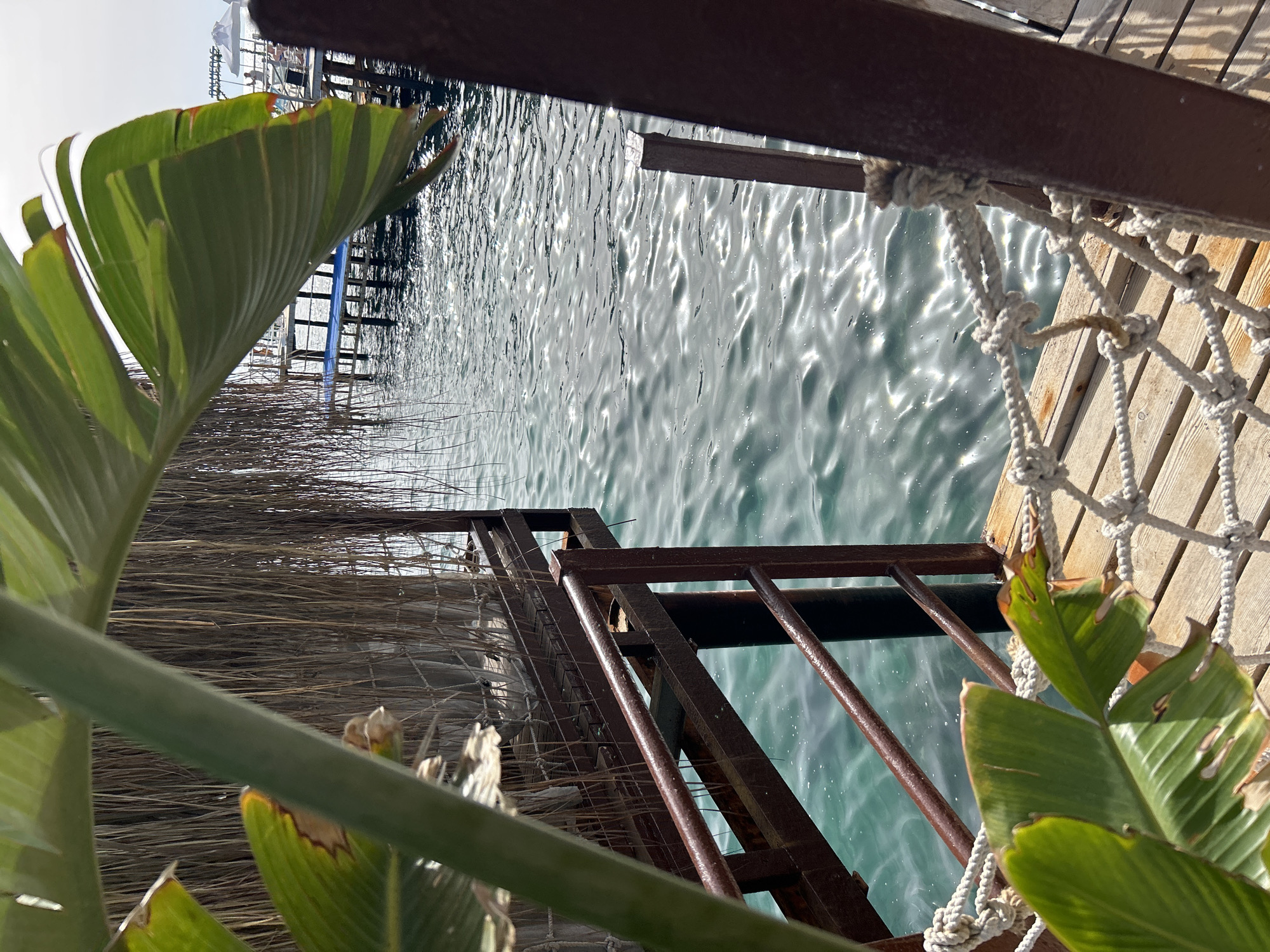 A scene photographed from a dockside in Alanya, Turkey, overlooks turquoise water reflecting sunlight. The view includes a metal ladder descending into the water, and a thatched structure, partially obscured by a large banana leaf in the foreground. Wooden planks are visible, some rigged with netting. Distant structures, possibly part of a pier or resort, are seen across the water.