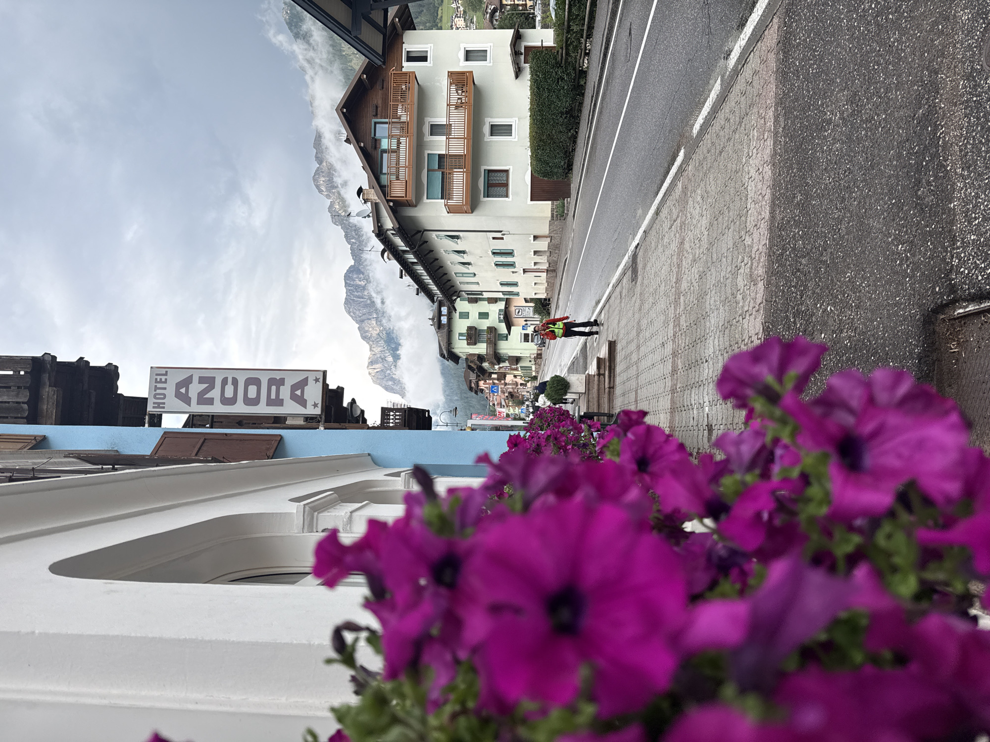 The image depicts a street scene in Moena, Italy, with a focus on a hotel facade and a person walking. In the foreground, vibrant purple petunias are blurred, obscuring the immediate left side of the scene. To the right of the flowers, a white building with arched windows and a blue adjacent building are visible. A vertical sign on the blue building reads "HOTEL ANCORA" with two stars below.
The street itself is paved with cobblestones on the sidewalk and asphalt on the road, marked by white lines. A person, wearing a bright yellow vest and dark pants, is walking away from the camera down the sidewalk. Further down the street, several multi-story buildings with balconies and windows line the road, with the Italian Dolomites mountains visible in the background, partially shrouded in clouds. The sky is overcast, suggesting a potentially cool or damp day. The overall impression is a quiet, European street scene, likely during daytime hours.