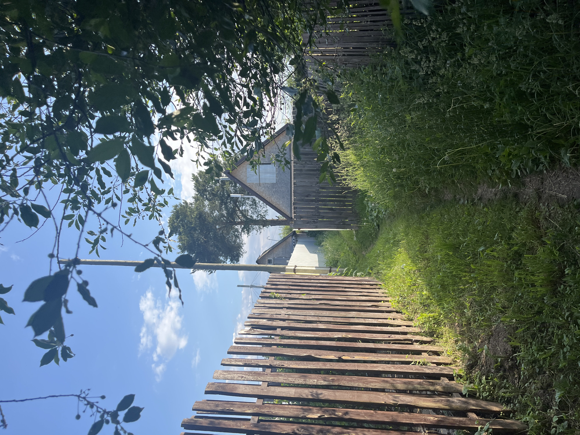 The image depicts a narrow dirt path winding through tall grass and vegetation, flanked by wooden fences on either side. The path leads towards two houses with A-frame roofs, visible in the background. Sunlight filters through the leaves of trees in the foreground, casting shadows on the path and the fences. The sky is blue with scattered white clouds, and a utility pole stands to the left of the path. The scene suggests a rural or semi-rural setting, likely within the city of Chaikovsky, Russia, given the architectural style of the houses and the presence of a dacha-like environment. No people are visible in the image.