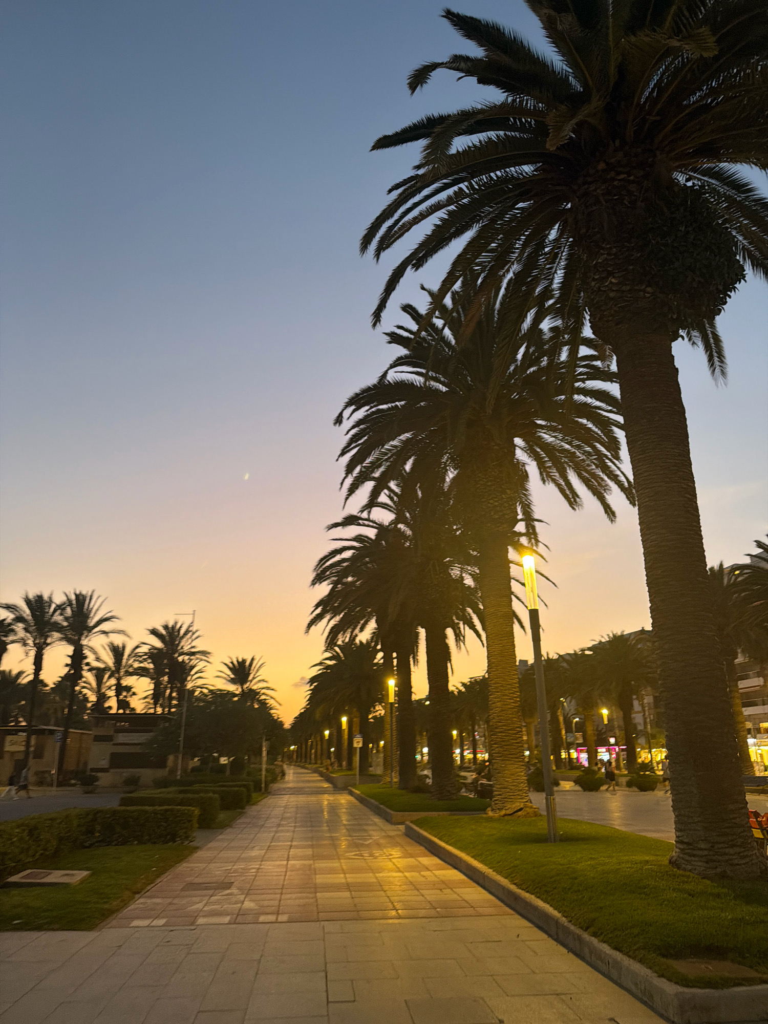 The image depicts a wide pedestrian walkway lined with palm trees on both sides. The walkway is paved with light-colored rectangular tiles and illuminated by streetlights. The sky is a gradient of soft blues and oranges, indicating it is either dawn or dusk. On the left side of the walkway, there are manicured green hedges and some low structures. On the right, there is a street with sparse traffic and buildings visible in the distance. A few people are walking or standing in the scene, with some appearing to be strolling along the walkway or on the street. The overall impression is a serene, urban promenade, likely in a Mediterranean climate. Based on the visual cues of palm trees and coastal town aesthetics, this scene is consistent with the Passeig Jaume I in Salou, Spain.