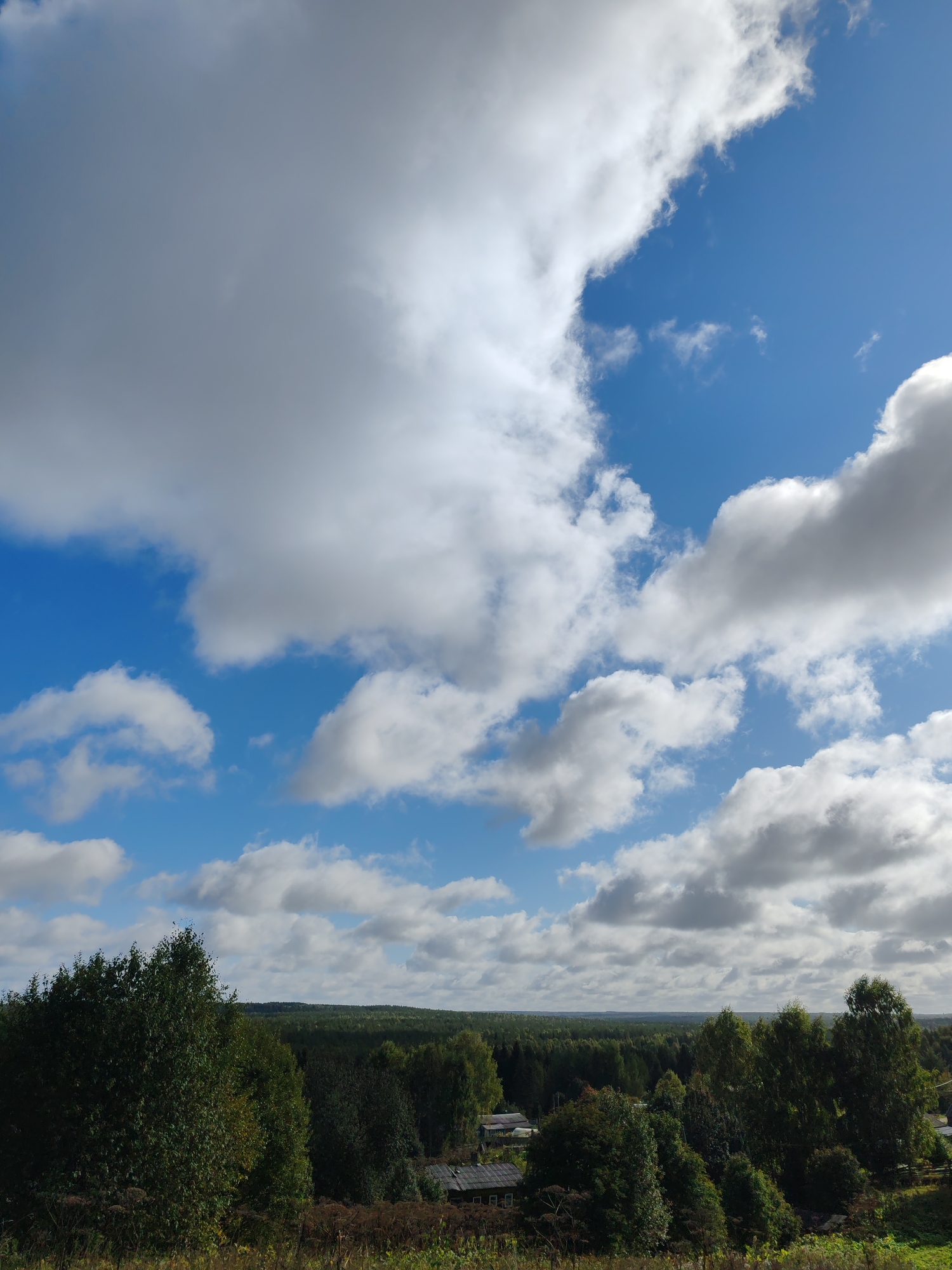The image shows a vast, partly cloudy sky over a dense forest and a small settlement. The sky occupies the upper two-thirds of the frame, with a bright blue expanse broken by scattered white and gray cumulus clouds. The clouds are illuminated by sunlight, casting shadows and creating a sense of depth.
Below the sky, the landscape transitions to a dark green forest that stretches to the horizon. The trees are varied, with some lighter green deciduous trees interspersed among darker conifers. A few small, dark-roofed buildings are visible within the forest canopy, suggesting a rural settlement. In the foreground, dry grass and some wild plants are visible, indicating an elevated viewpoint looking down onto the scene. The overall impression is one of a natural, somewhat remote landscape under a dynamic sky. The location in Чухлэм, Russia, is a vast expanse of natural beauty, with a typical rural Russian settlement nestled within the forest.