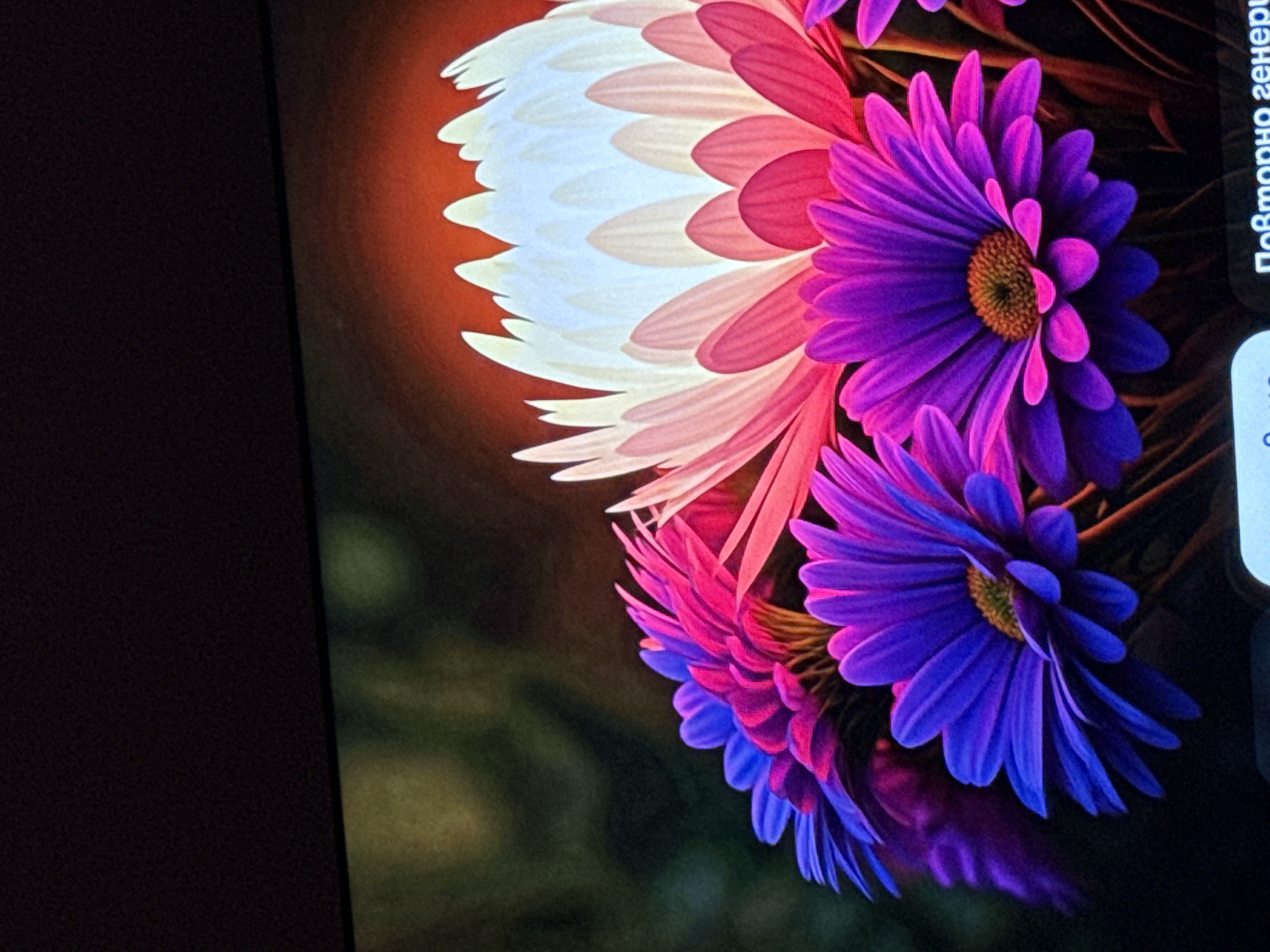 The image shows a digitally generated composition of daisy-like flowers. The color palette ranges from white to pink to purple. The background is a blend of dark green and brown hues, creating a blurred effect. The image is likely displayed on a screen, as suggested by the black frame on the left and the presence of text in a foreign language on the right. No specific location or people are identifiable.