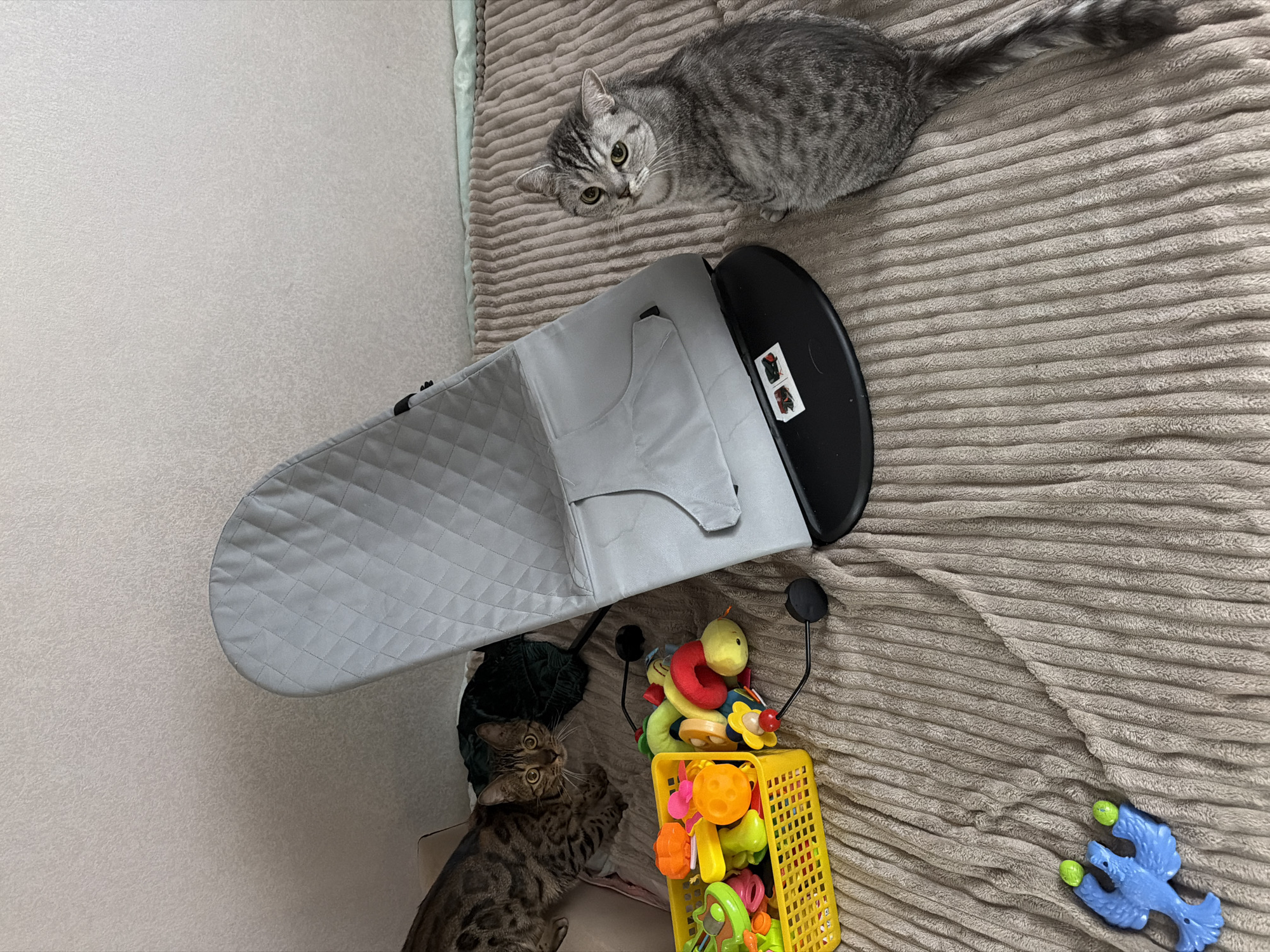 A high-angle shot shows two cats, baby items, and toys on a textured, light brown blanket, likely indoors. A grey tabby cat is positioned at the top of the image, looking downwards with its head near a grey baby bouncer seat with black details. Below the bouncer seat, a brown tabby cat sits near a yellow plastic basket full of colorful toys. A single blue plastic toy is located to the right of the basket on the blanket. The background includes a light-colored wall with a slight texture. The location is specified as Noviy, Russia.