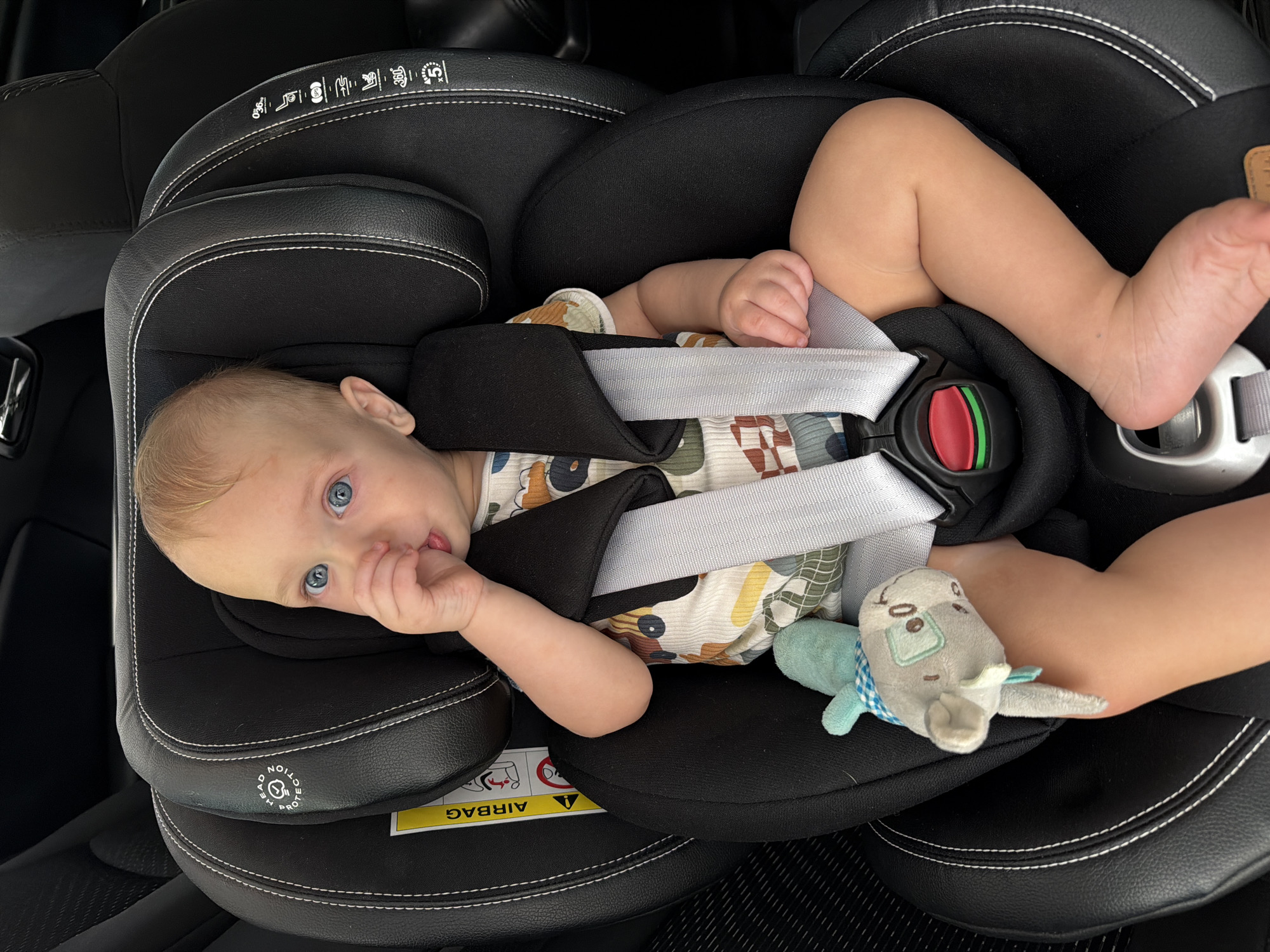 In Lozuvatka, Ukraine, a close-up, eye-level shot captures a baby seated in a black car seat. The baby, with light hair and striking blue eyes, is facing the camera and has their right thumb near their mouth. They are wearing a beige shirt with a colorful, abstract pattern. A small, light gray stuffed elephant toy with blue and white checkered accents is held in the baby's left hand, resting on their leg. The car seat features white stitching along its edges and has various safety labels, including an "AIRBAG" warning. The background consists of the dark interior of a car, with the textured seat of the vehicle visible to the left and the back of the car seat to the right. The lighting suggests it is daytime.