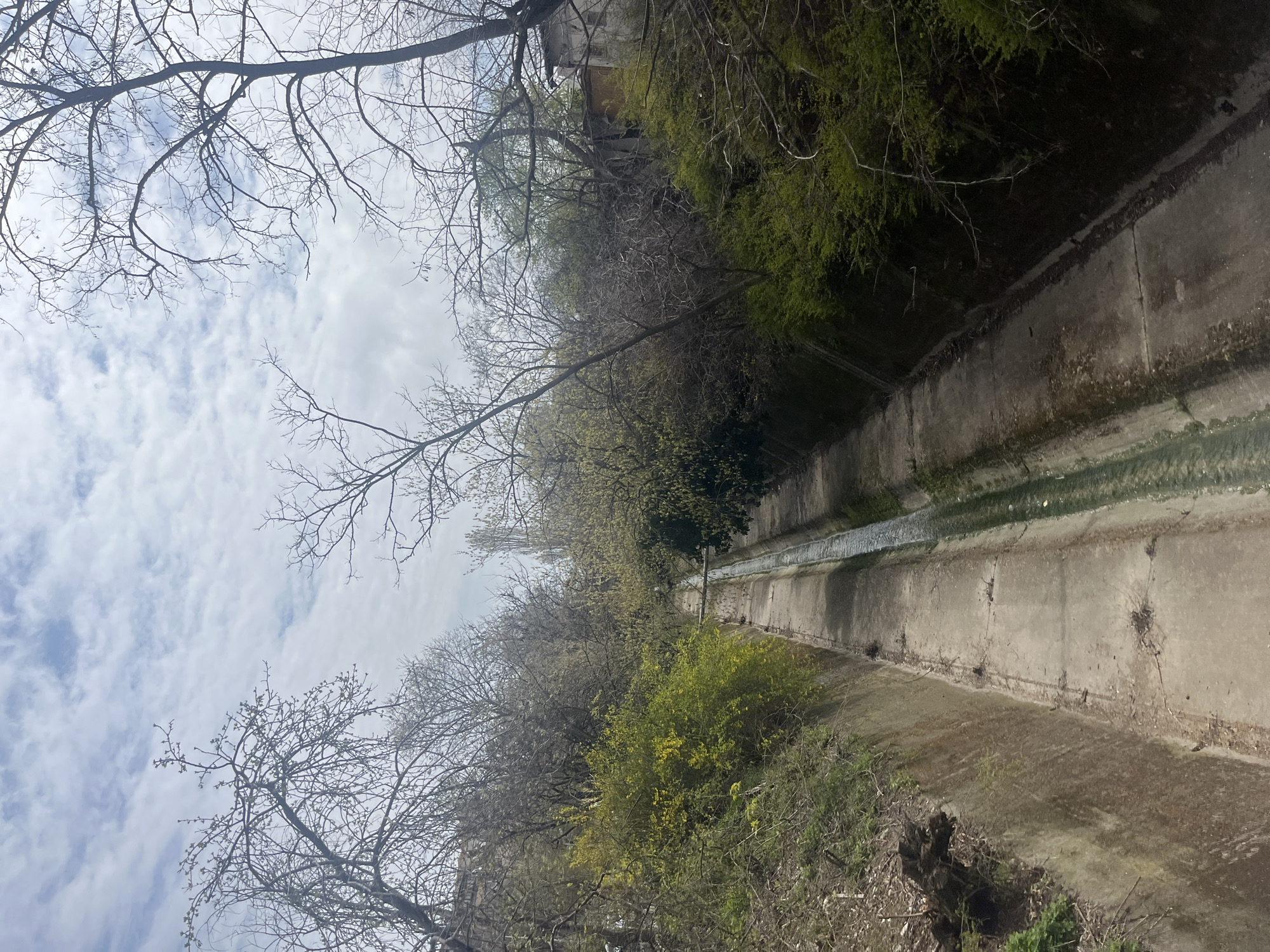 The image depicts a narrow, concrete drainage canal located in Varna, Bulgaria. The canal is surrounded by vegetation, including trees with bare branches and some with budding green leaves. The canal itself contains a shallow stream of water. The sky is visible through the trees and shows a cloudy day. The surrounding area suggests an urban setting with natural elements interspersed.