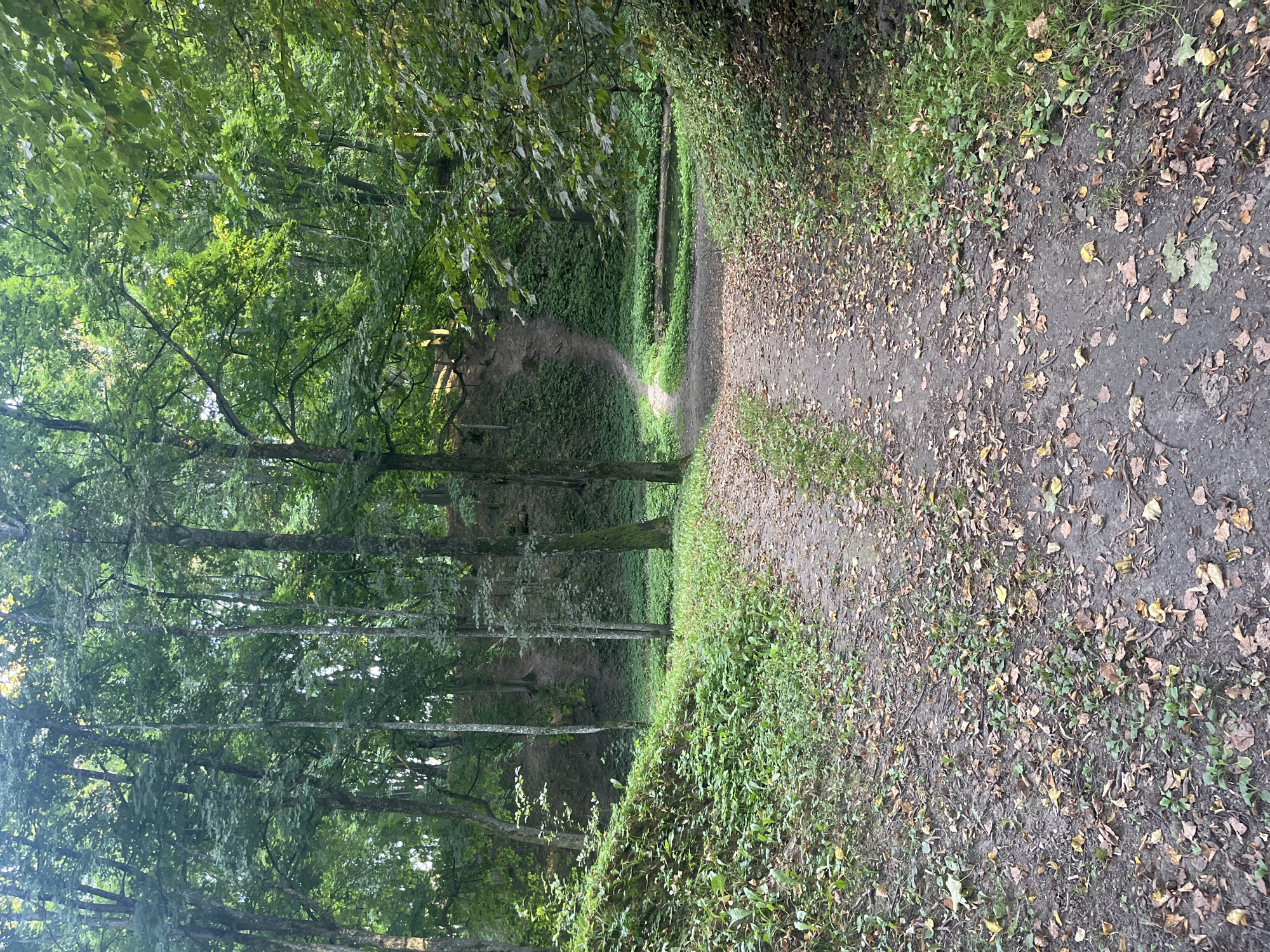 The image depicts a winding dirt path leading through a dense, green forest. The path is covered with fallen leaves, suggesting it might be autumn or early fall. On the right side of the path, there is a small pond surrounded by lush vegetation. The background features a gently sloping hill with trees and undergrowth. The overall scene is tranquil and natural, suggesting a park or a forested area within a city. Based on the context provided, this location is identified as being in the city of Lahojsk, Belarus. There are no people visible in the image.