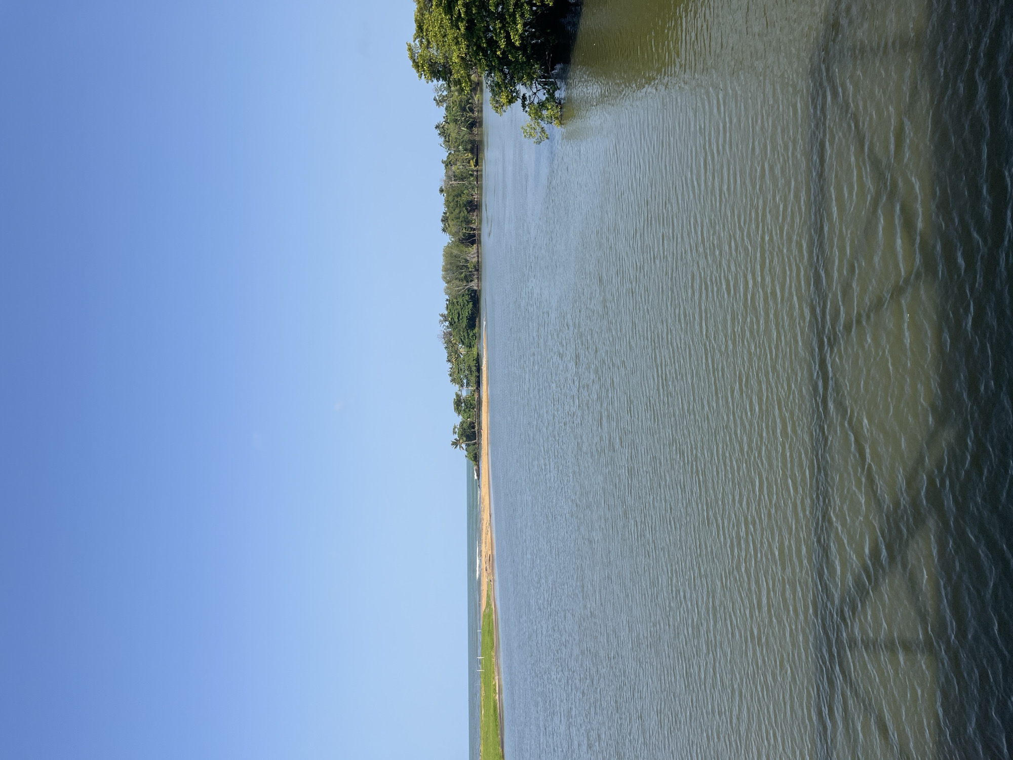 A wide, calm river flows towards the ocean under a clear, bright blue sky. The river's water is a murky green, with gentle ripples across its surface. In the foreground, the dark shadow of a bridge or overpass is visible on the water.
On the left bank of the river, a strip of lush green grass slopes down to a sandy shore. Further in the distance, beyond the sandy beach, a line of low-lying trees and vegetation marks the coastline, with a hint of the ocean and small waves visible.
The right bank of the river is lined with a dense, vibrant green forest. Tall trees with thick foliage dominate this side, with some branches of a large tree reaching out over the water. Palm trees are interspersed with other tropical vegetation, suggesting a warm climate.
The overall scene is one of natural tranquility, with the river acting as a focal point between the land and the sea. The presence of the bridge shadow in the water suggests this is a location accessible by man-made structures, potentially a scenic spot in or near Kalutara, Sri Lanka, where rivers often meet the Indian Ocean.