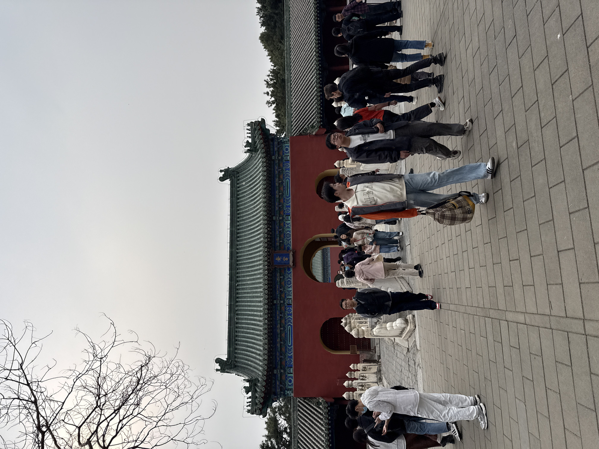The image depicts a public scene in front of a traditional Chinese gate within the Temple of Heaven complex in Dongcheng District, Beijing, China. The prominent central structure is a large gate building with a vibrant red facade, featuring three arched doorways, two of which are open and actively used by pedestrians. A multi-tiered roof, adorned with dark green glazed tiles and elaborate eaves, caps the gate. A blue plaque with gold Chinese characters is centered above the main archway. Red-walled structures with green tiled roofs extend horizontally from the main gate.
In the foreground and middle ground, a crowd of approximately 30-40 individuals, mostly adults, navigate a paved pathway composed of light gray rectangular stone blocks. White stone balustrades with decorative posts line sections of the pathway, leading towards the gate. People are dressed in casual modern attire, including jackets, jeans, and sneakers; some individuals are carrying bags or backpacks. A few individuals wear face masks. The primary action involves people walking in various directions, approaching, passing through, or moving away from the gate.
A bare, deciduous tree with numerous intricate branches occupies the upper left portion of the frame, silhouetted against an overcast, light gray sky. Coniferous trees are visible in the background behind the architectural structures. The overall atmosphere suggests a moderately busy public or tourist site on a cloudy day.