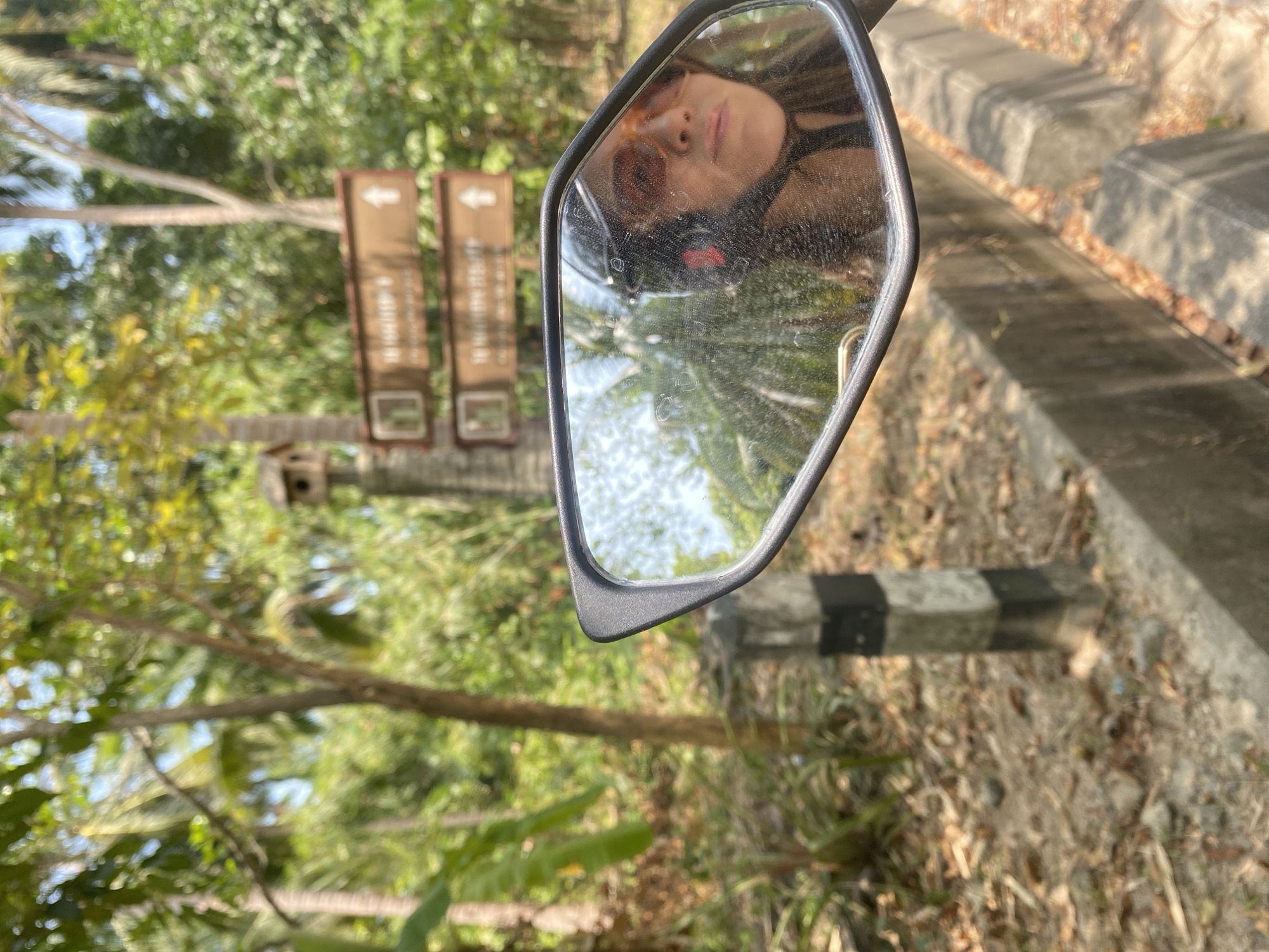 The image, originally rotated 90 degrees counter-clockwise, captures a sunny outdoor scene, likely from the perspective of someone on a motorbike in Baan Tai, Thailand.
The main subject is a rearview mirror, positioned vertically on the right side of the frame (when the image is viewed upright). The mirror itself appears somewhat dusty, with circular smudges. Reflected within the mirror is the upper part of a person's face, wearing brown-tinted sunglasses, and a dark strap or garment is visible around their chin/neck area. The reflection also shows glimpses of the clear blue sky and green foliage from the surroundings.
Outside the mirror, the background is rich with lush tropical greenery, including various trees and what appear to be palm fronds, all bathed in bright sunlight. To the left of the mirror, two brown, rectangular wooden signs are visible, positioned vertically and slightly blurred. Each sign features a clear white arrow—one pointing left and the other right—but any accompanying text is indistinct and unreadable.
Towards the bottom and far right of the frame, the ground consists of a dirt or unpaved surface, scattered with dry leaves and some sparse grass. Concrete curbs or barriers, some painted with black and white stripes, line the edge of what seems to be a road or pathway. Strong shadows are cast across these structures, indicating bright sunshine and a clear daytime sky. The overall setting suggests a tranquil, natural environment, likely along a rural road or path.