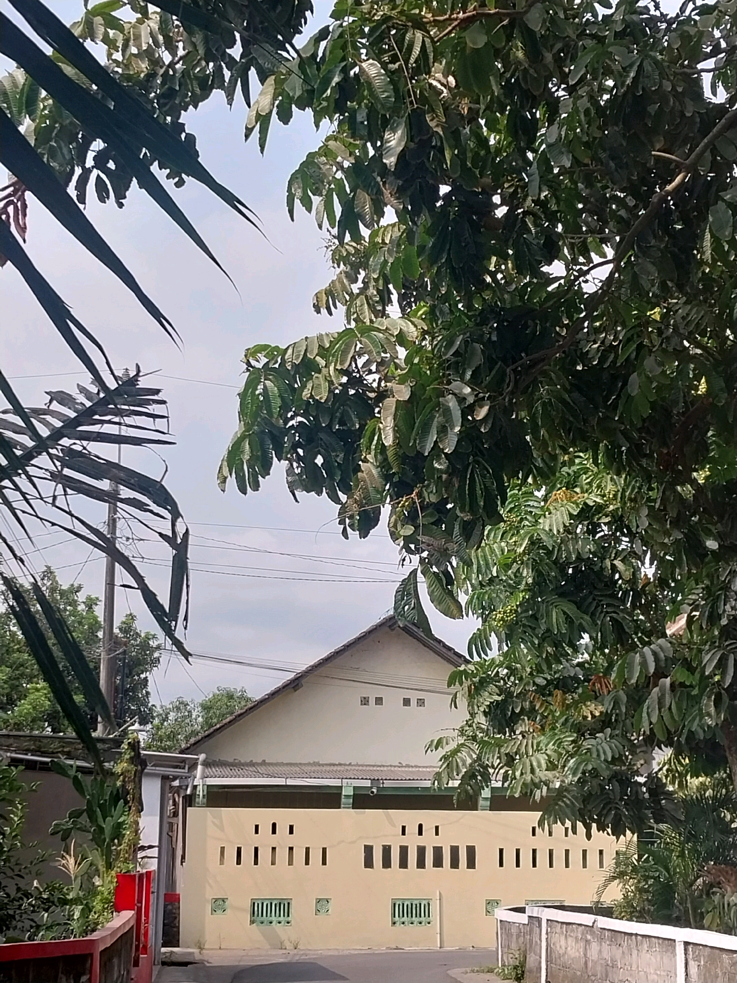 This is a slightly elevated, eye-level, outdoor, full shot on an overcast day in Purwomartani, Indonesia. In the foreground, a low, rough-textured grey concrete wall runs diagonally across the bottom right of the frame. Beyond this, a tan-colored wall with a series of rectangular openings and decorative green window grates runs horizontally across the mid-ground. Behind this wall, a two-story house with a triangular, tiled roof is visible, with smaller square windows near the top of the house. A utility pole with wires is situated to the left of the house, behind a cluster of dark, spiky leaves in the left foreground. Dense green foliage from large trees dominates the top half and right side of the frame, with some brown, dead leaves interspersed. The sky is overcast and a pale grey.