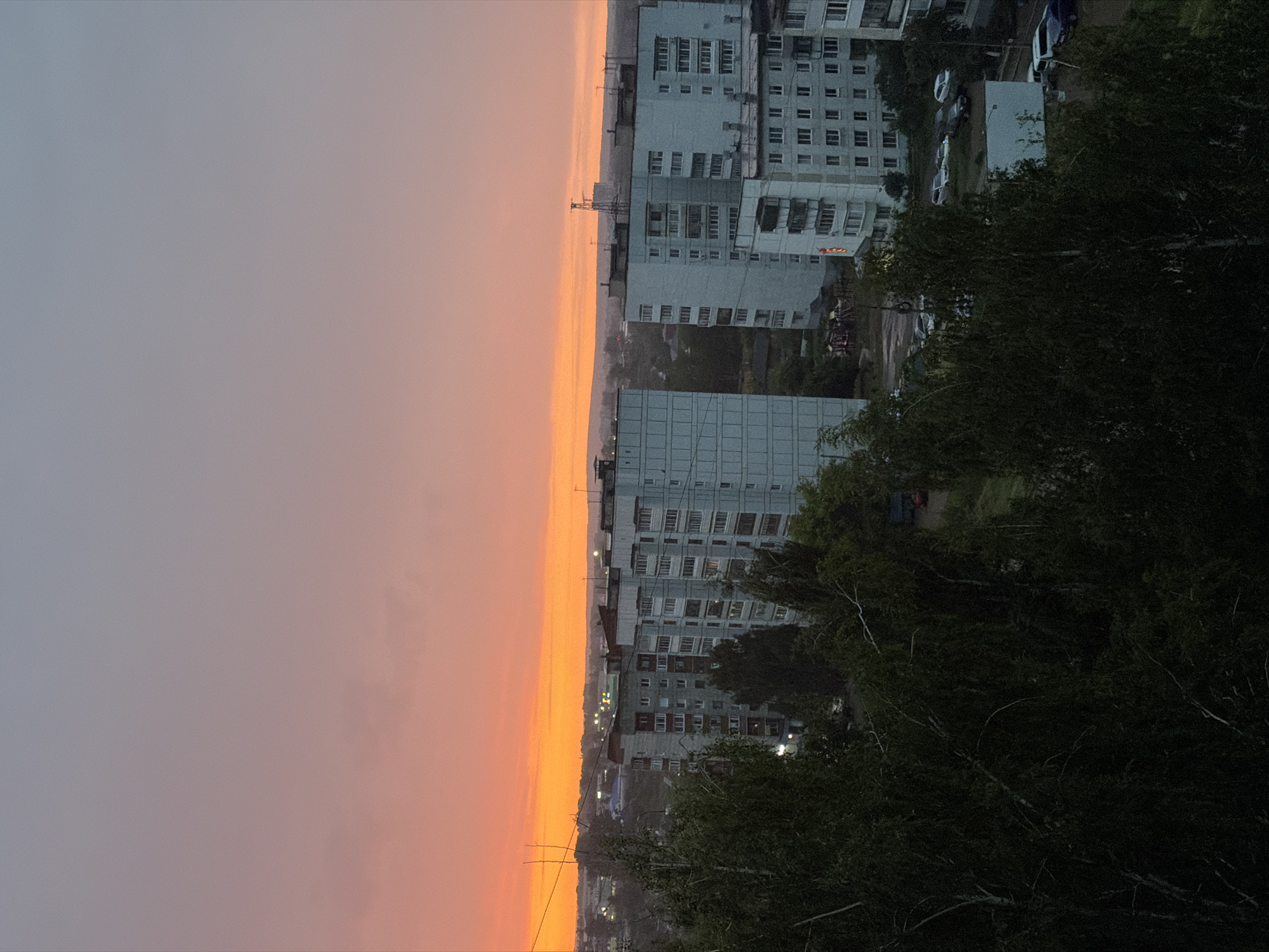 This image depicts a residential area in Chaikovsky, Russia, during sunset. The sky is a gradient of pale gray at the top, transitioning to a vibrant orange and yellow horizon. In the middle ground, several multi-story apartment buildings, typical of Soviet-era architecture, are visible. They are primarily light-colored, with visible balconies and windows. Trees, dense and dark green, dominate the foreground and line the sides of the buildings, suggesting a summer or early autumn setting. The ground level shows patches of grass, dirt, and some parked vehicles, including cars and vans, indicating a typical urban residential environment. A playground structure is faintly visible near one of the buildings. The overall impression is that of a quiet, late-day scene in a Russian city.