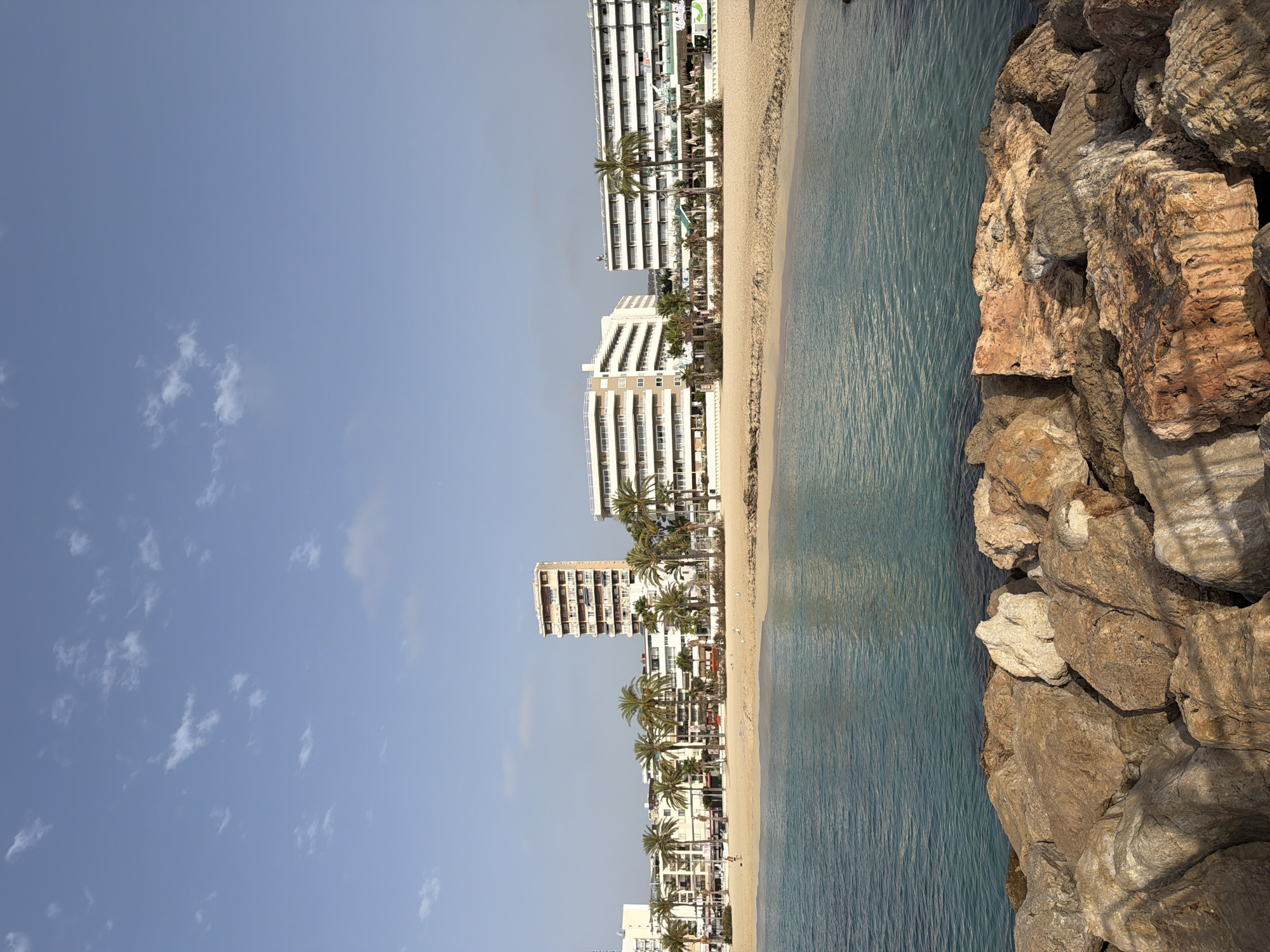 The image depicts a beach scene in Calvià, Spain, likely in the resort town of Magaluf. In the foreground, a rocky breakwater made of large, brown and grey stones separates the viewer from the turquoise waters of the Mediterranean Sea. The water is calm with gentle ripples reflecting the light.
Beyond the water is a sandy beach lined with palm trees. Behind the palm trees, a row of multi-story white buildings, characteristic of a tourist resort, stretches across the horizon. These buildings feature numerous balconies and windows, indicating hotel or apartment accommodations. One taller, older building with a reddish-brown facade stands out amongst the white structures. Scattered on the beach are a few seagulls, and one person can be seen walking near the water's edge. The sky is a clear, light blue with a few wispy clouds, suggesting a pleasant, sunny day. The overall impression is that of a typical seaside resort atmosphere, likely during daylight hours.