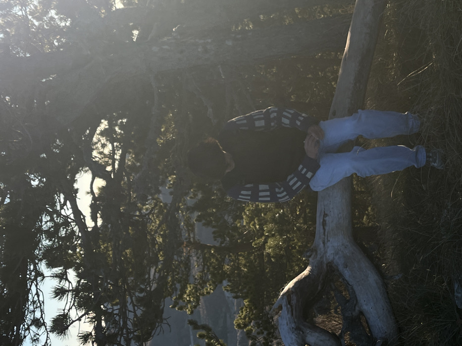 A person sits on a fallen tree in a forest setting. They wear light blue pants, dark sneakers, and a dark, long-sleeved shirt with light horizontal stripes on the sleeves. The tree trunk is weathered and light gray in color, resting amidst green grass. Dense trees with drooping branches surround the scene, with a glimpse of a distant mountain visible between the trees. The image is slightly obscured by sunlight or haze.