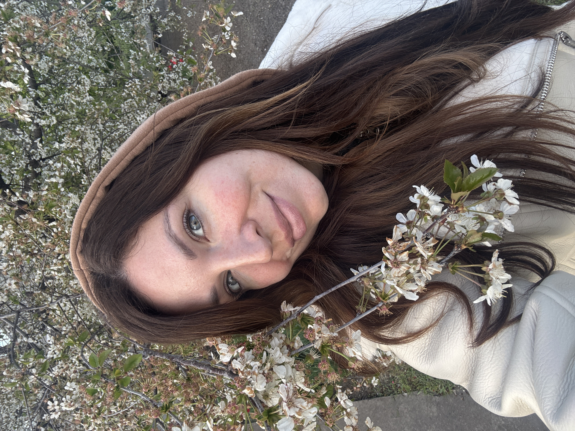 A young woman is captured in a close-up outdoor portrait, looking directly at the camera with a subtle, calm expression and a slight smile. Her head is gently tilted, showcasing her long, dark brown hair and striking light-colored (likely blue or green) eyes. Her complexion appears natural, with visible freckles and a soft blush on her cheeks. She is dressed in a light-colored, possibly white or off-white, jacket featuring a prominent zipper, and a brown hooded garment that frames the top of her head.
The setting is an abundant spring landscape, filled with delicate white blossoms, characteristic of flowering fruit trees. A significant branch laden with these white flowers extends across the lower right portion of the frame, resting near her face and hair. The background is lush with more green foliage and a profusion of similar white flowers, indicating a park or garden environment. The lighting is soft and natural, suggesting it is daytime with pleasant weather, capturing the serene beauty of springtime in Kryvyi Rih, Ukraine. There is no visible text in the image.
