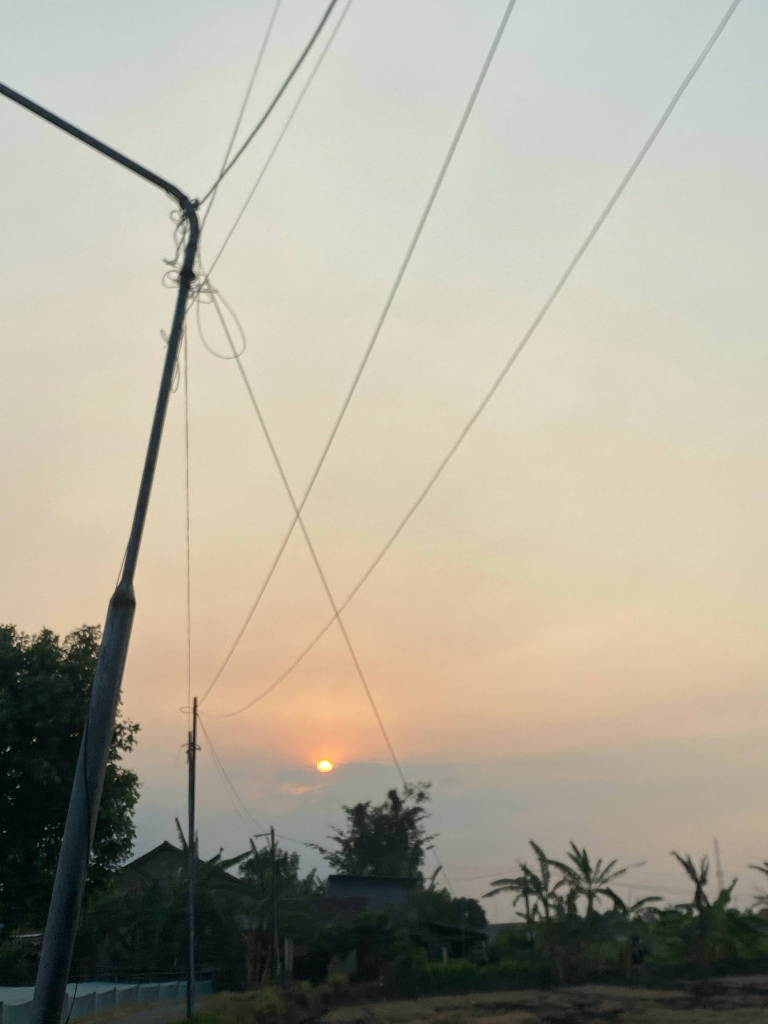 A vertical, full-frame outdoor shot captures a serene sunset over a rural landscape in Probolinggo, Indonesia. The sky, painted in soft hues of peach and pale yellow, is streaked with thin, dark power lines crisscrossing the frame. The sun, a small, bright orange orb, is partially obscured by a light haze in the upper right quadrant of the image. In the foreground, a dark, vertical pole stands to the left, its rough texture contrasting with the smooth sky. Below the pole, glimpses of trees and simple structures suggest a village or rural settlement. Several thin, white wires extend from the pole, also crossing the sky. The lower portion of the image reveals silhouetted foliage, including banana trees, and hints of dark, dry earth.