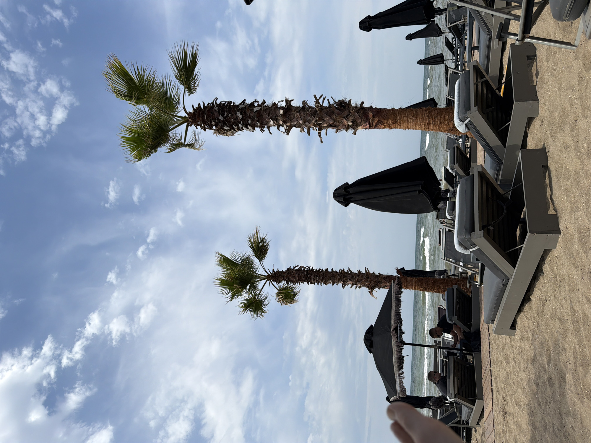 This daytime image, correctly oriented, displays a serene beach scene in Alexandroupolis, Greece, under a bright, partly cloudy sky. The upper half of the frame is dominated by a clear blue sky interspersed with scattered white cumulus clouds.
Two tall, slender palm trees stand prominently, their robust, textured trunks reaching towards the sky and topped with lush green fronds. To the right of these trees, a sandy beach transitions into the calm, blue-grey sea, which shows gentle white-capped waves.
A line of modern beach loungers, dark grey with black cushions, is arranged on the sand, facing the water. Several black, closed beach umbrellas are attached to these loungers, providing potential shade. In the foreground, another larger black umbrella with a fringed edge is visible, indicating a closer seating area.
At least two individuals are partially visible among the loungers. One person appears to be seated or tending to a lounger, while another is seen further back, closer to the water. The lower right corner of the image includes a person's foot, suggesting the photograph was taken from the perspective of someone relaxing on a sunbed. The overall atmosphere conveys relaxation and leisure at a coastal resort. There is no visible text in the image.