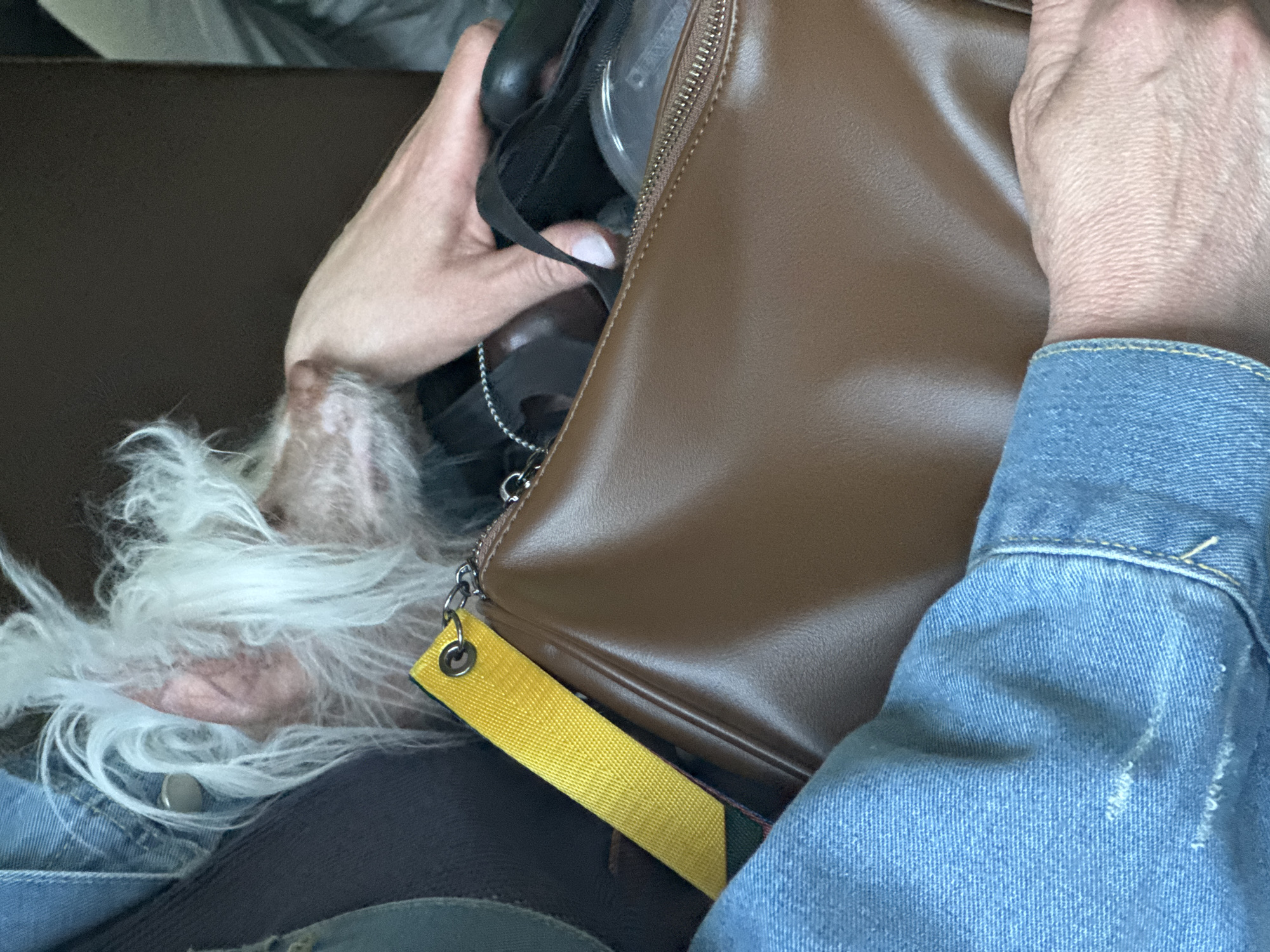 The image shows a close-up of a person's lap and a small, fluffy white dog resting on their chest, partially covered by a brown handbag. The person is wearing a denim jacket, and a dark-colored top is visible underneath. A yellow strap from the handbag extends towards the left of the frame. The dog's face is mostly obscured by its fur, but its ear and part of its snout are visible. The background is dark and out of focus, suggesting an indoor setting or a dimly lit environment. There are no recognizable landmarks or contextual clues indicating a specific location in Pesochny, Russia. The image appears to capture a candid moment of relaxation or travel.