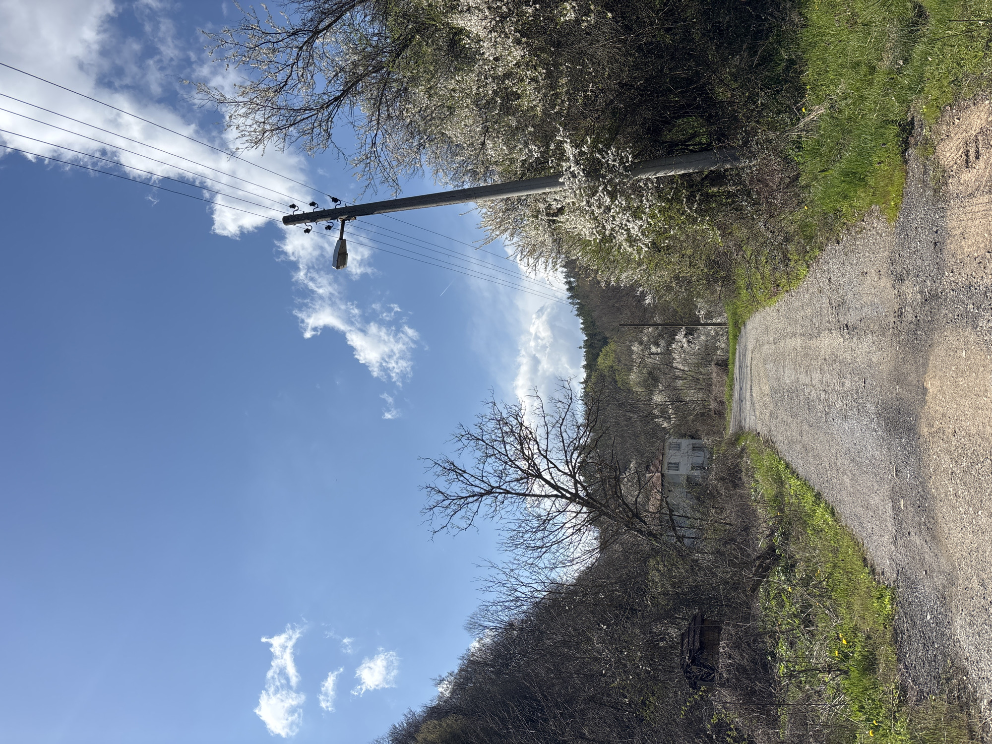 The image shows a rural road in Liava Reka, Bulgaria. The road, composed of gravel and dirt, curves into the distance. On either side of the road, there's vegetation including grass and trees, with some trees exhibiting white blossoms. A power pole with electrical wires stands tall on the left, reaching into a bright blue sky with scattered clouds. In the distance, a house is visible amongst the trees on the slope of a hill.