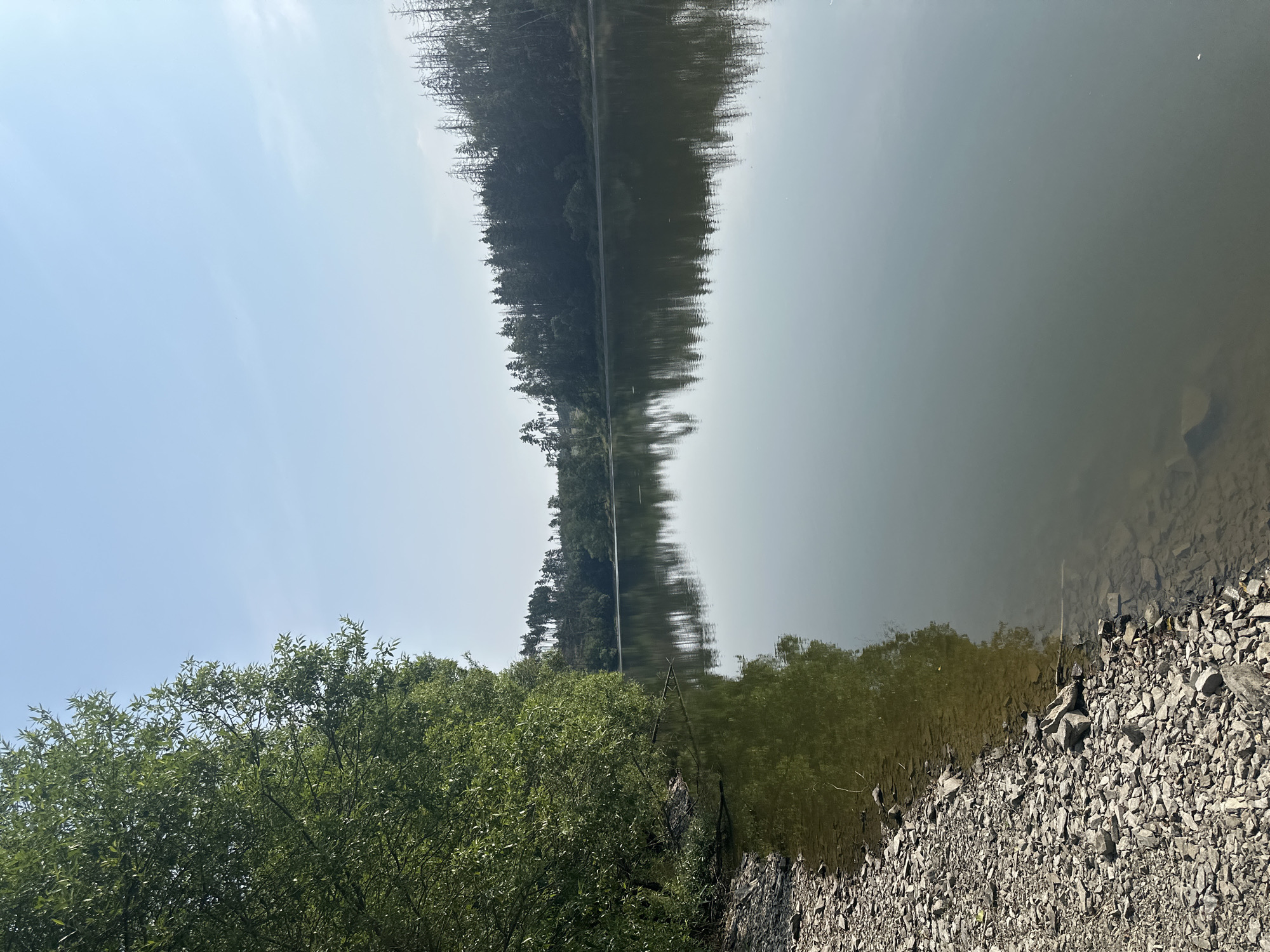The image shows a calm lake with a rocky shore on the left side. Dense green trees overhang the water on the left bank, and a forested hillside rises on the opposite bank. The sky is clear and pale blue, with a faint haze. The water reflects the trees and the sky, creating a serene and natural scene. The location is not identifiable from the image.