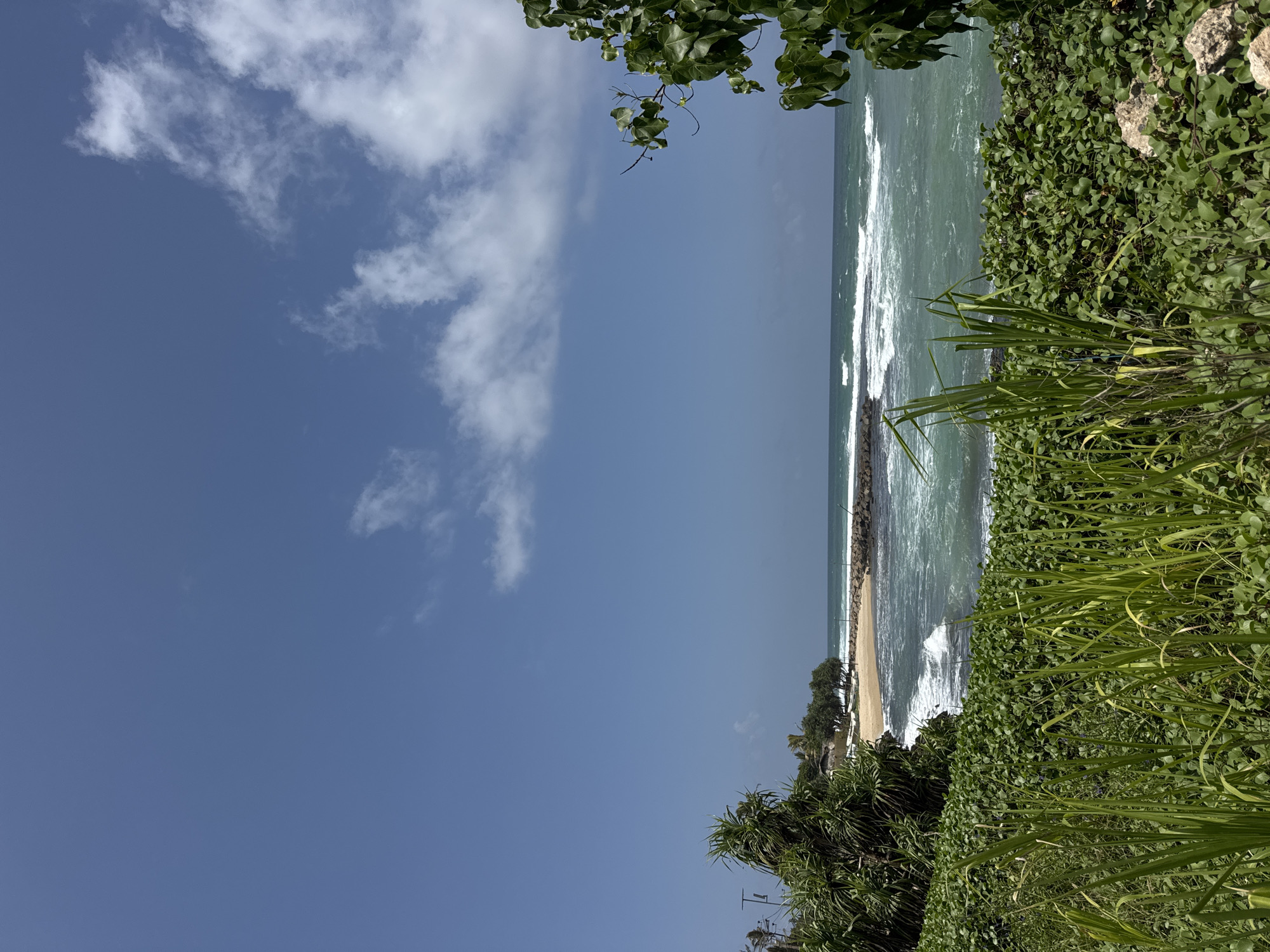 This image depicts a coastal scene in Goviyapana, Sri Lanka. The foreground is dominated by lush green vegetation, including tall grasses and broad-leafed plants. Beyond the vegetation, a sandy beach is visible, bordered by a stone jetty or breakwater extending into the ocean. The turquoise sea displays moderate waves, indicating a dynamic marine environment. In the distance, trees and a few small structures are sparsely scattered along the shoreline, suggesting a rural or semi-developed coastal area. The sky is a clear blue with scattered white clouds, and the overall lighting suggests it is daytime. There are no people or animals visible in the frame.