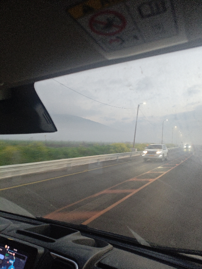 A view from inside a car driving on a highway. The road is wet, with visible lane markings. Several cars are ahead, and streetlights line the side of the road. A field of green and yellow plants stretches along the roadside. In the distance, a mountain peak is visible, partially obscured by mist or fog, and a no smoking symbol is visible on the vehicle interior.
