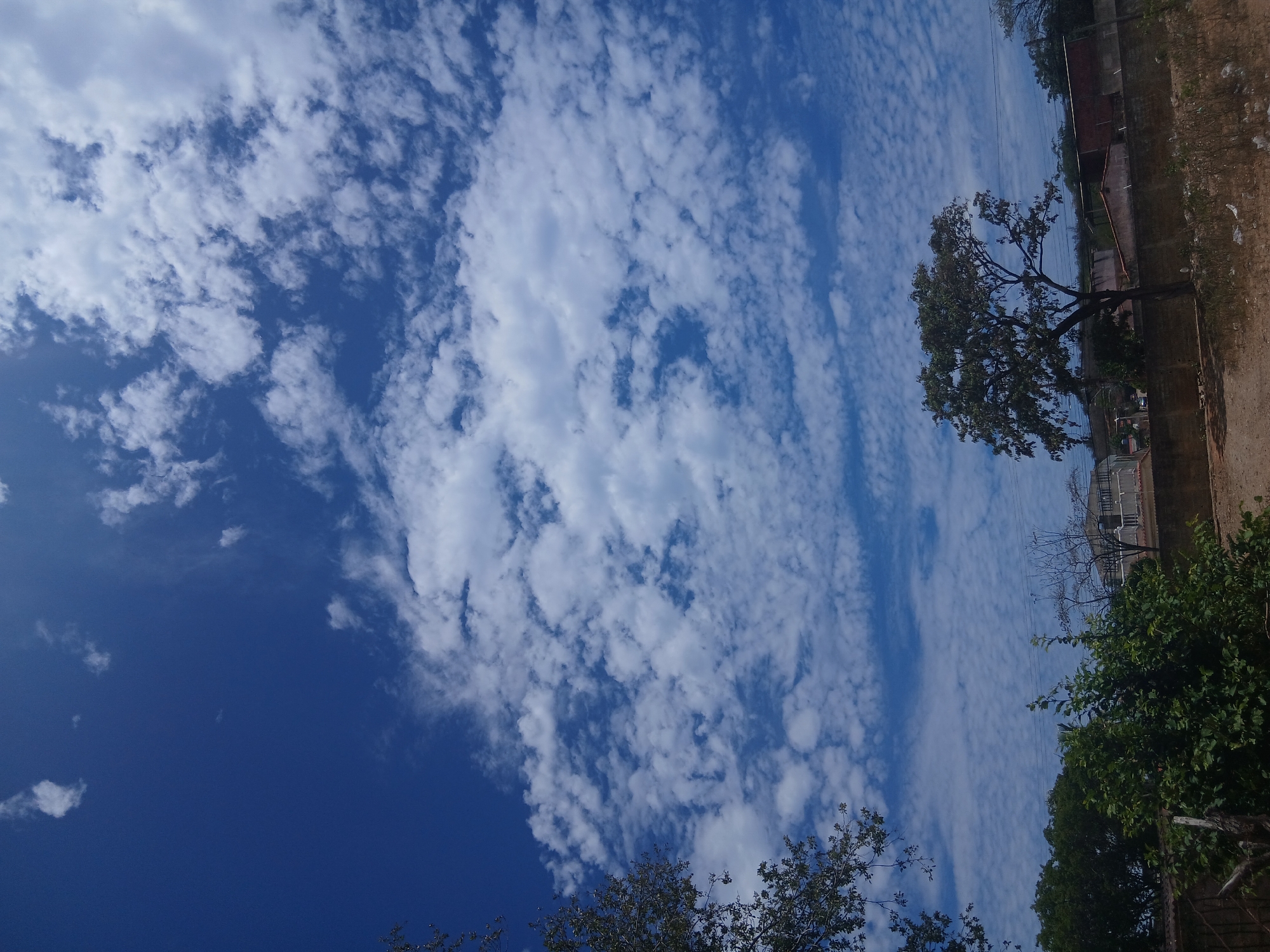 The image shows a view towards the sky in Juan Griego, Venezuela. A patch of clear, deep blue sky is visible in the lower left corner. The rest of the sky is filled with a layer of patchy white clouds. Along the right side of the image, there is a wall with patches of exposed brick and vegetation. A few trees with green leaves are also visible along the wall. An electrical wire stretches across the sky. The image appears to be taken from ground level, tilted to the left. Buildings are visible in the background.