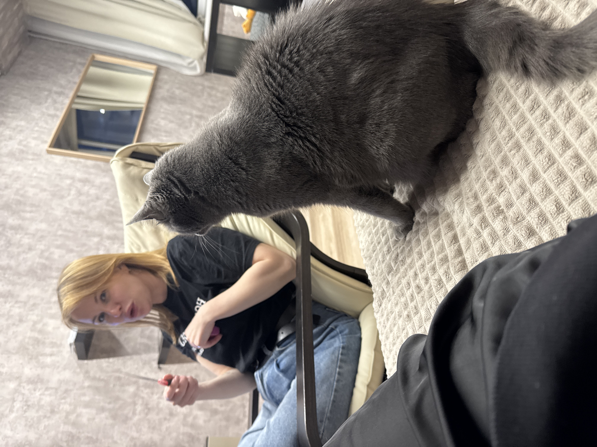 A wide-angle, slightly rotated indoor shot captures a scene involving a woman, a cat, and several objects. A woman with blonde hair, dressed in a black shirt and jeans, sits in a beige chair and holds a knife. A large gray cat stands on a light-colored, textured surface near the chair. A mirror hangs on the wall behind the chair. A black garment is visible in the lower right corner. The setting appears to be a room with patterned walls. The location and city are unknown.