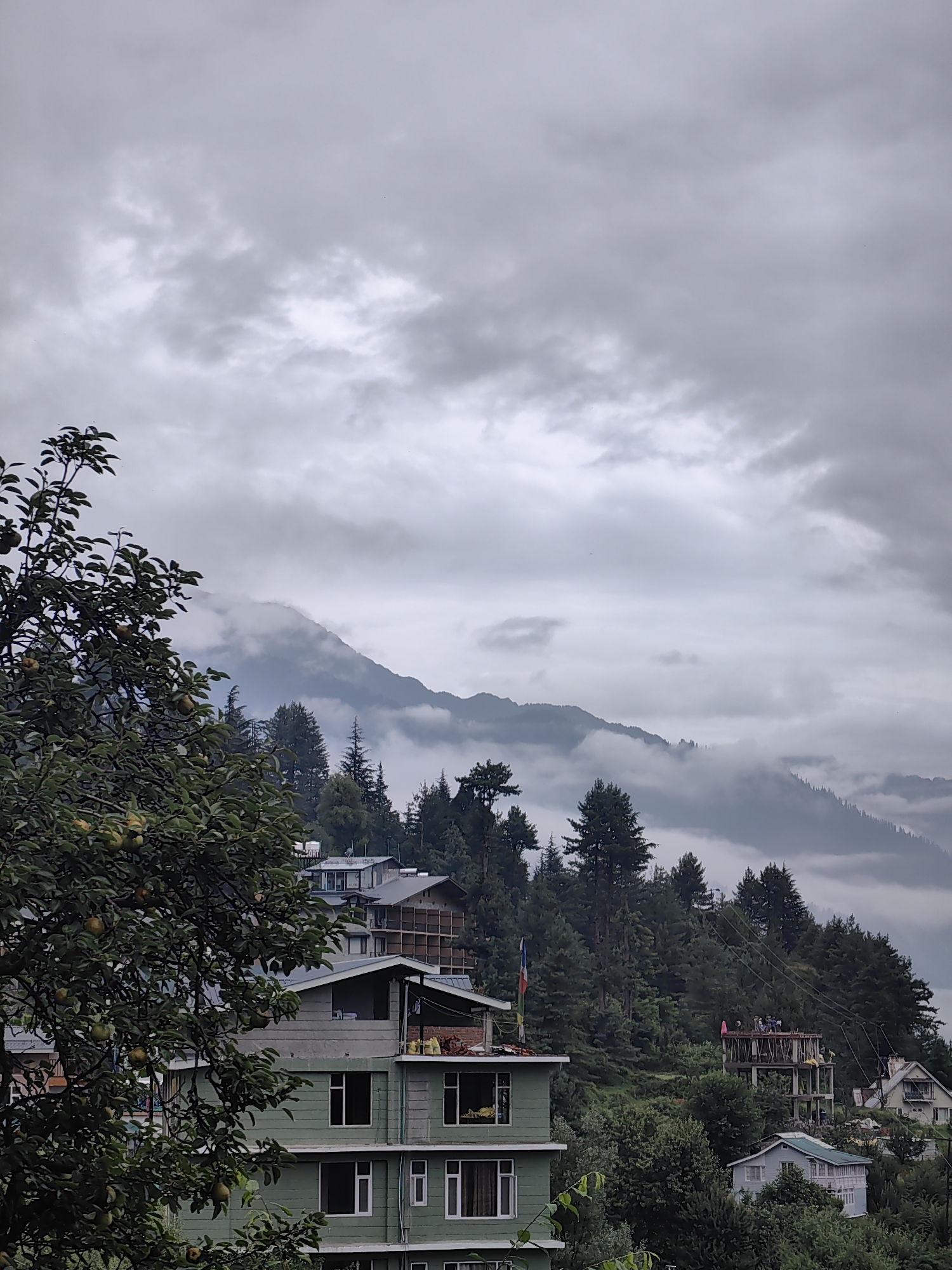 The image captures a mountainous landscape in Manali, India, under a cloudy sky. In the foreground, a tree with green leaves and some yellow fruits is visible on the left. Several buildings with multiple stories are scattered on the hillside. The architecture appears to be a mix of traditional and modern styles, with some structures featuring balconies and large windows. A construction site with scaffolding and workers is also present on the slope, indicating ongoing development. The background is dominated by lush green trees covering the mountains, with some peaks partially obscured by mist or low-hanging clouds, creating a serene and slightly dramatic atmosphere. The overall scene suggests a settlement nestled within a natural, hilly terrain.