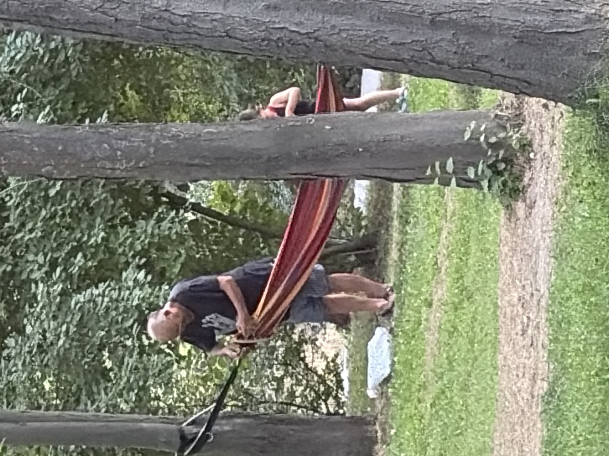 A bald man in a dark t-shirt and blue shorts is assembling a red and yellow striped hammock strung between two trees. He is standing on the grass in a park-like setting with trees and foliage in the background. A person in a dark top and light shorts, wearing athletic shoes, is visible behind the hammock on the right side of the image. The ground is covered with green grass, and a path of dirt and mulch is visible in the foreground.