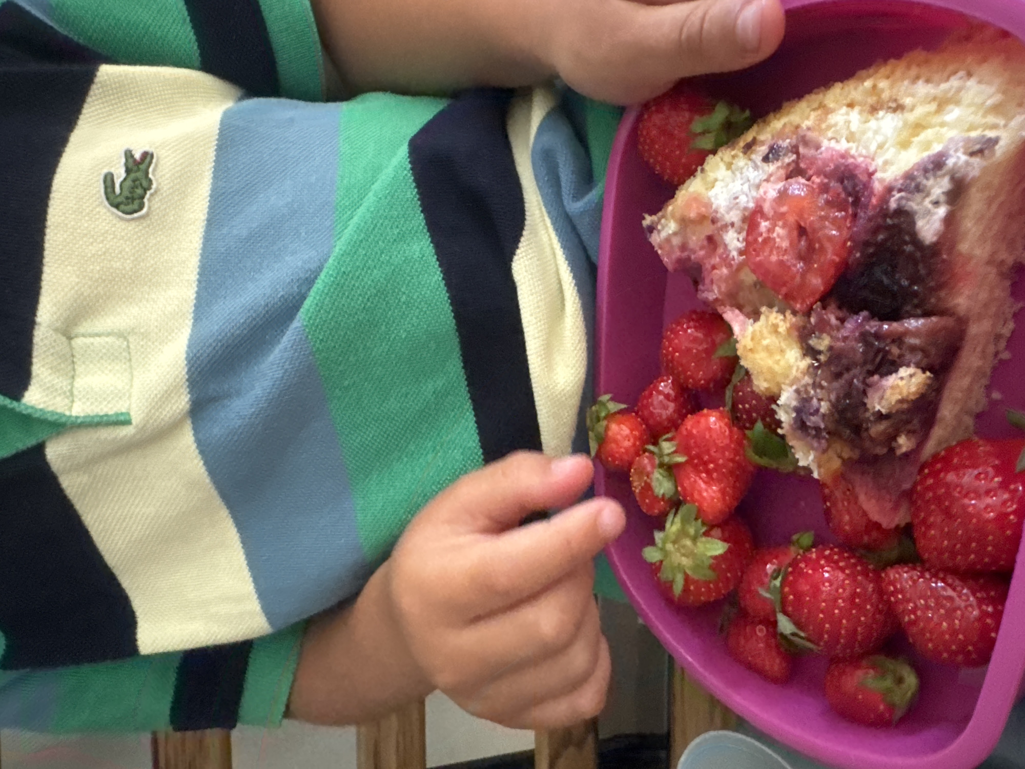 A close-up, indoor shot features a child's hands reaching into a bright pink plastic container filled with strawberries and a slice of cake. The child is wearing a striped polo shirt with green, blue, and cream bands, and a small green alligator logo on the left chest. The cake appears to be topped with strawberries and a purple filling. The background is blurred, but suggests a wooden surface, possibly a table. There is no indication of the location being in Les Rousses, France.