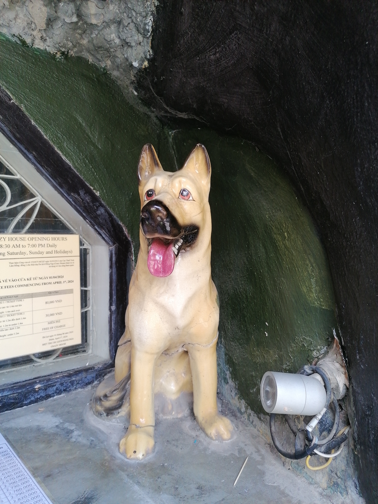 The image depicts a Crazy House attraction in Da Lat, Vietnam, displaying an animal-shaped statue of a dog adjacent to the house's entrance. The dog statue is light-colored, with its tongue sticking out, and it's situated near a sign that indicates "CRAZY HOUSE OPENING HOURS 8:30 AM to 7:00 PM Daily (including Saturday, Sunday and Holidays)" and lists ticket prices commencing from April 1, 2024. The statue sits on a gray, possibly concrete, surface. To the statue's right is a cylindrical light fixture with wires protruding from its base. The statue is positioned against a wall or cave-like structure painted in dark green and black hues.