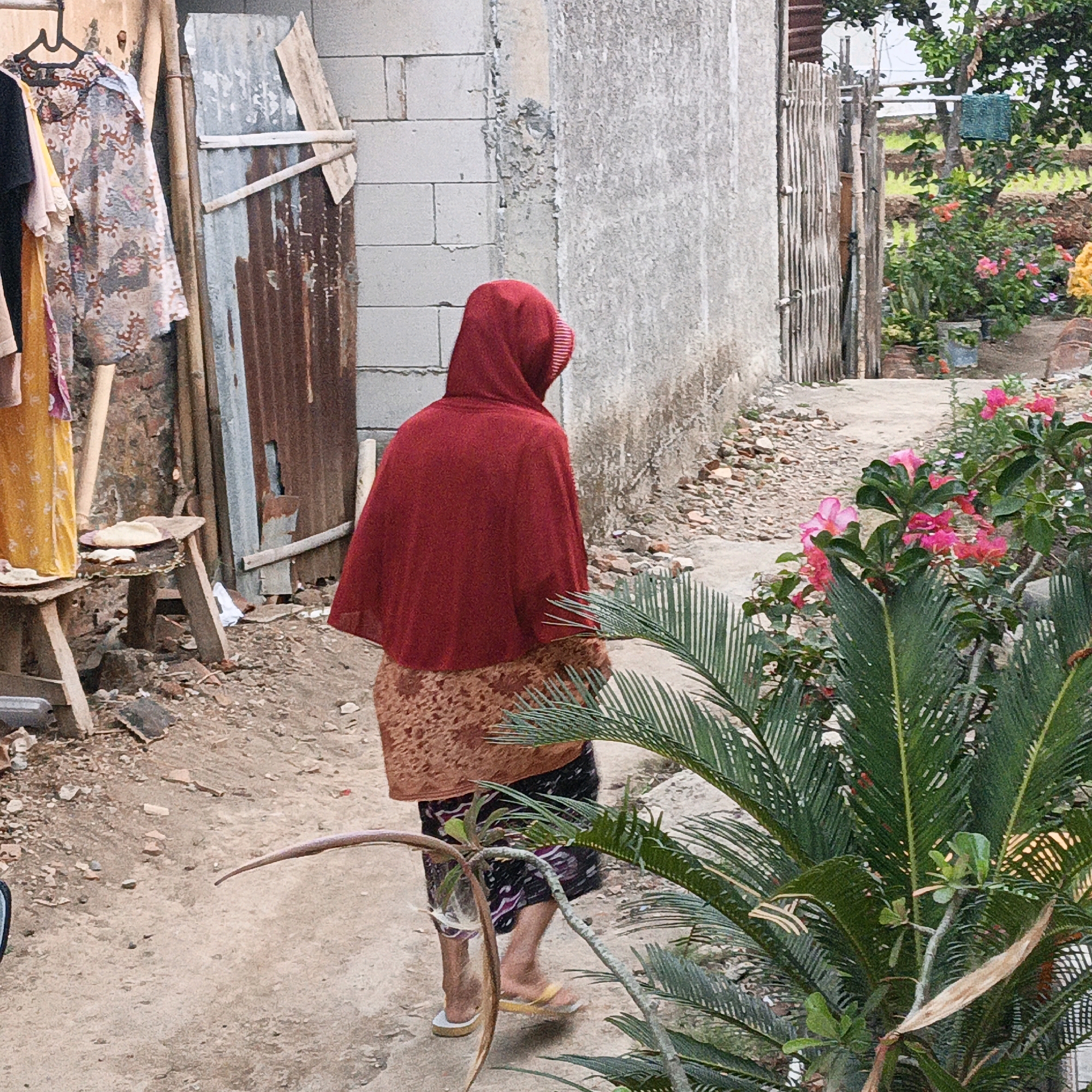 In Tanahbaya, Indonesia, a woman wearing a red hijab and a patterned skirt walks down a dirt path. She is seen from behind, her body angled away from the viewer. The path is lined with a rough concrete wall on the left and a wooden fence on the right. Various items are scattered around the scene, including a small wooden table with what appears to be bread on it, a piece of corrugated metal, and several potted plants with bright pink flowers. In the foreground, lush green palm fronds obscure part of the view. The overall environment suggests a rural or semi-rural setting.