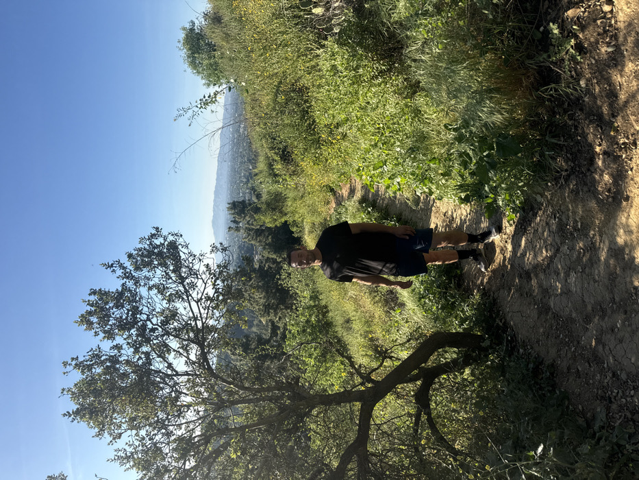 The image captures a single adult male standing on a dirt hiking trail, facing the camera. He is positioned centrally within the frame. The male subject wears a black short-sleeved t-shirt, dark blue shorts, black socks, and athletic shoes. To the immediate left of the path, a tree with green foliage and a gnarled trunk is visible, extending its branches upwards and to the left. The right side of the trail is bordered by dense green vegetation, including grasses and smaller plants with interspersed yellow flowers.
In the background, beyond the immediate hillside vegetation, an expansive urban landscape consistent with the city of Los Angeles is visible, stretching across a valley. Distant, hazy mountain ranges, likely the San Gabriel Mountains, define the horizon beneath a clear, bright blue sky. The scene is illuminated by natural daylight, casting shadows on the trail. This environment is indicative of a hillside trail within the Hollywood Hills or Griffith Park area of Los Angeles, California, United States. No other individuals or active interactions are observed.
