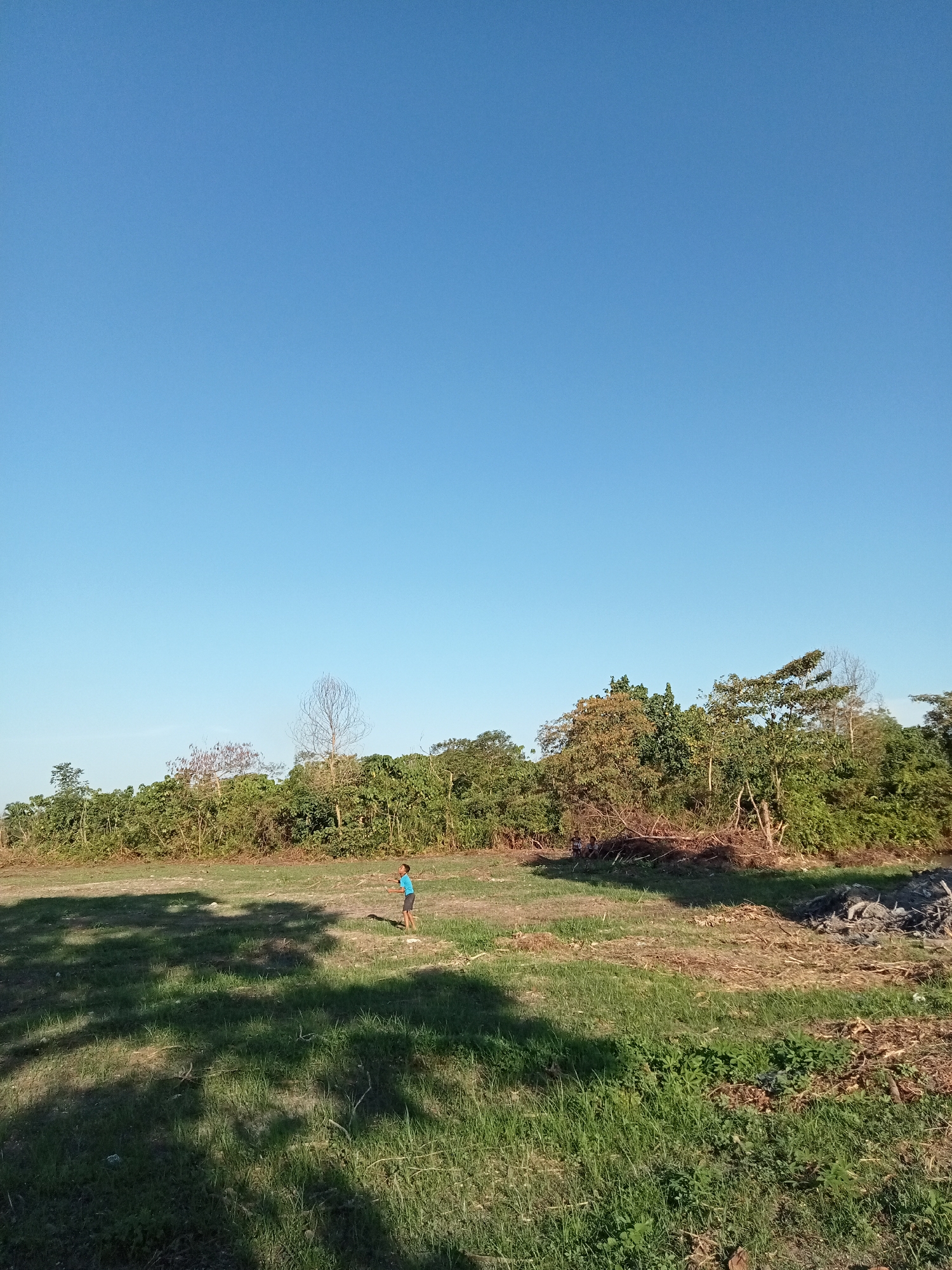 A lone young boy in a blue t-shirt and dark shorts stands in a grassy field under a clear blue sky. He is facing away from the camera and appears to be looking towards a line of trees and vegetation in the distance. The field is uneven and partially covered in shadows from an unseen source. The background consists of dense foliage, including trees with varying leaf colors, and some piled debris. The scene is outdoors in what appears to be a rural or undeveloped area, possibly Kualu, Indonesia, judging by the vegetation and lighting.