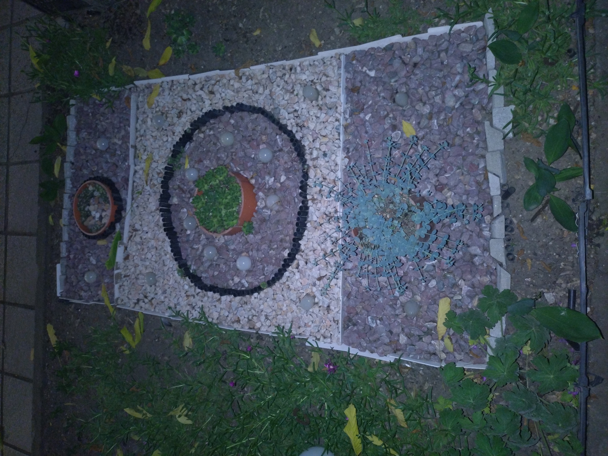 The image depicts a rectangular garden bed divided into three sections, located in what appears to be Stara Zagora, Bulgaria based on the presence of local flora and architecture.
The garden bed is filled with pebbles. The left and right sections contain darker pebbles, while the center section has lighter colored pebbles. There's a potted plant with small green plants in the center section, circled with black rubber. Several small, white, spherical objects are scattered among the pebbles in the center and left sections. A potted plant is on the left.
A light blue sculpture sits in the right section.
The garden bed is bordered by grey brick. Plants grow around the garden bed.