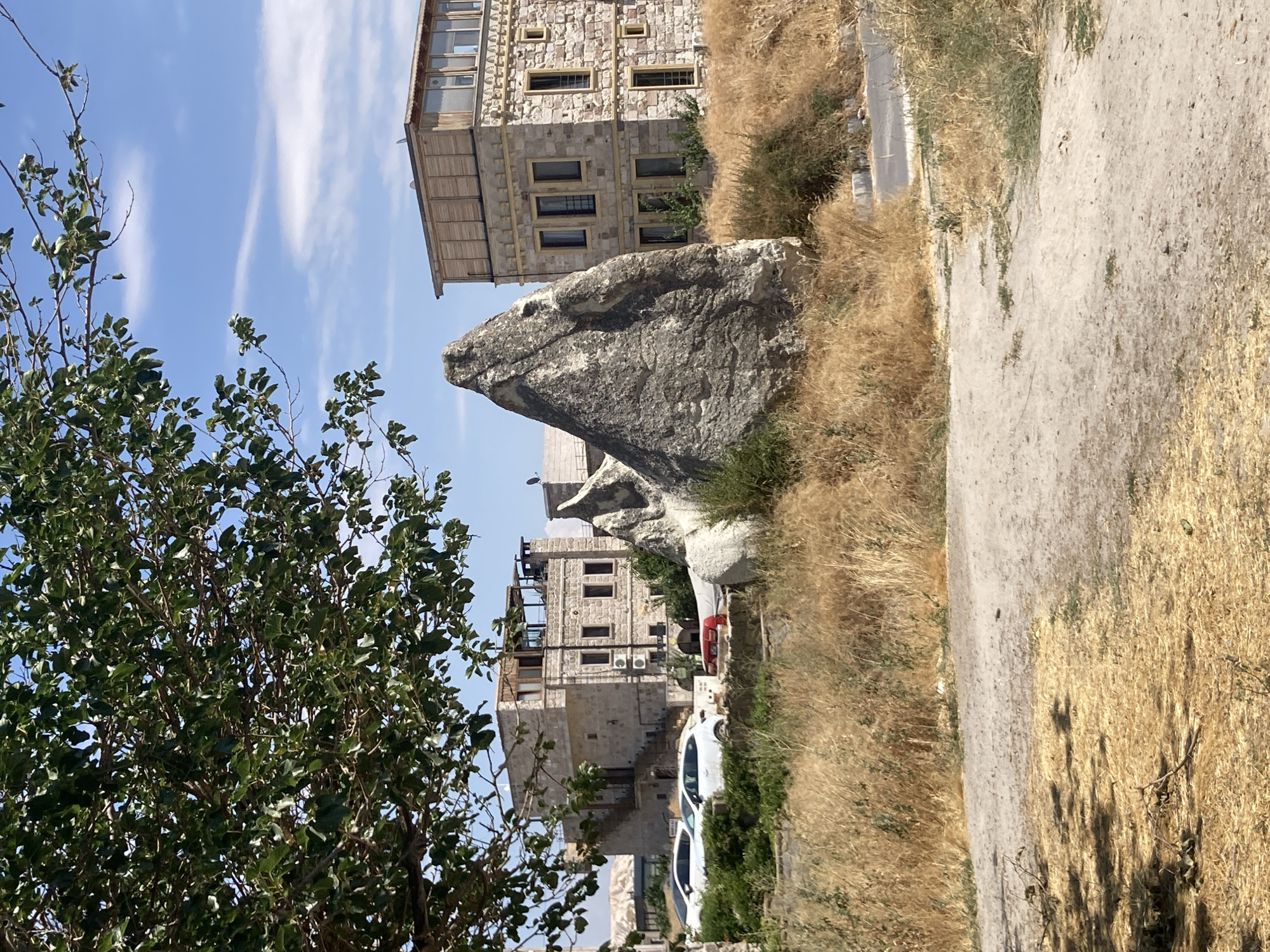 The image depicts a sunny outdoor scene in Göreme, Turkey, characterized by a blend of natural rock formations and traditional architecture. In the foreground, a dirt path leads through dry, golden grass. A large, pointed rock formation dominates the center of the frame, resembling a fairy chimney, a common geological feature in the region. Behind the rock, a multi-story building constructed of stone with wooden accents stands to the right. It features multiple windows and a rooftop terrace. To the left of this building, another stone structure with balconies and staircases is visible. Several cars, including two white sedans and a red vehicle, are parked in front of the buildings. A large tree with green leaves partially obscures the top left portion of the image, casting shadows on the ground. The sky above is blue with scattered white clouds. The environment suggests a warm, dry climate.