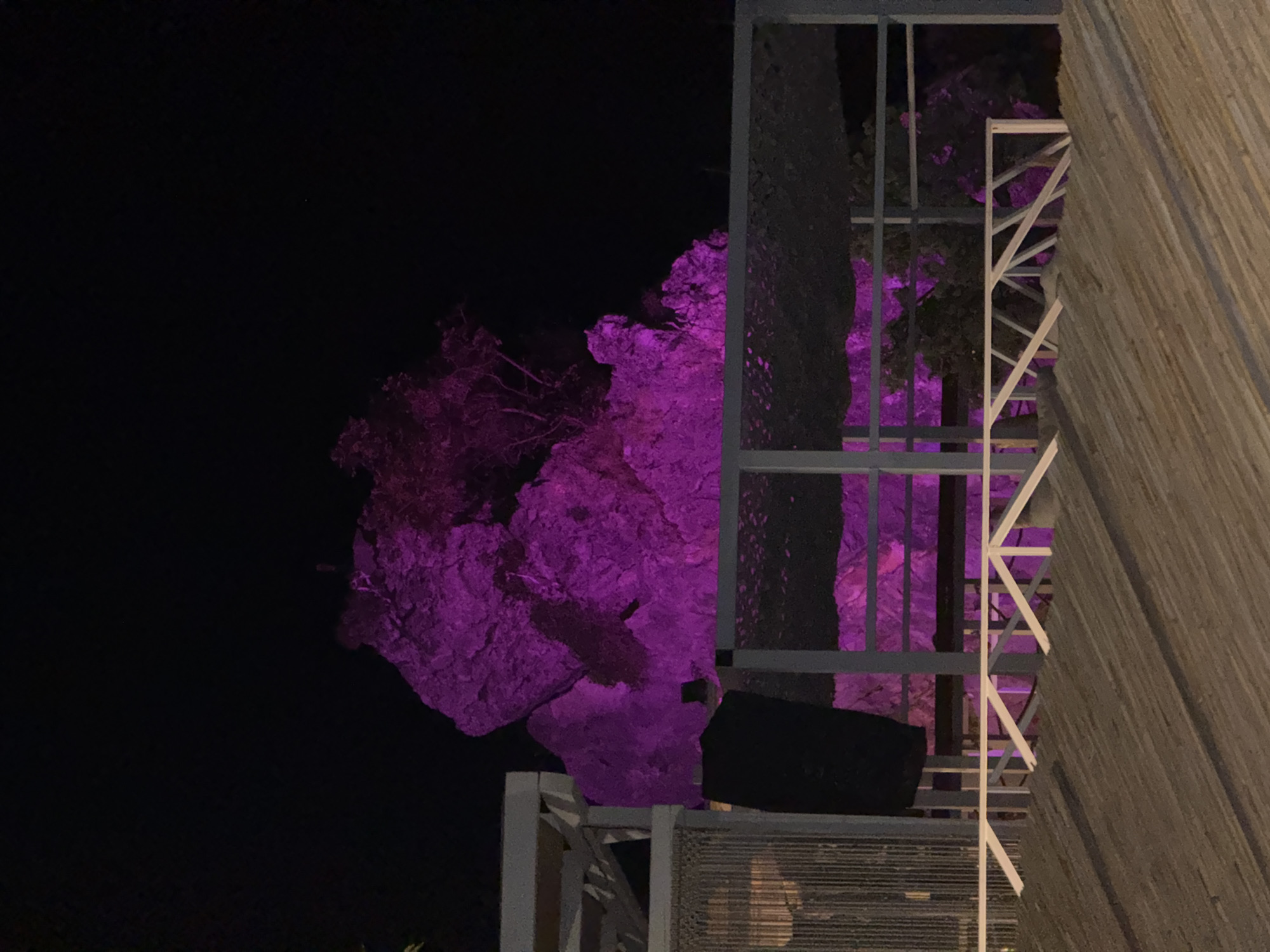 At night in Budva, Montenegro, a large rock formation is illuminated with vibrant purple lights. In the foreground, a wooden roof structure and a white railing with a diagonal support pattern are visible. Behind the railing, there is a structure with vertical bars and a dark fabric hanging. The purple light casts a colorful glow on the rock and the surrounding vegetation.