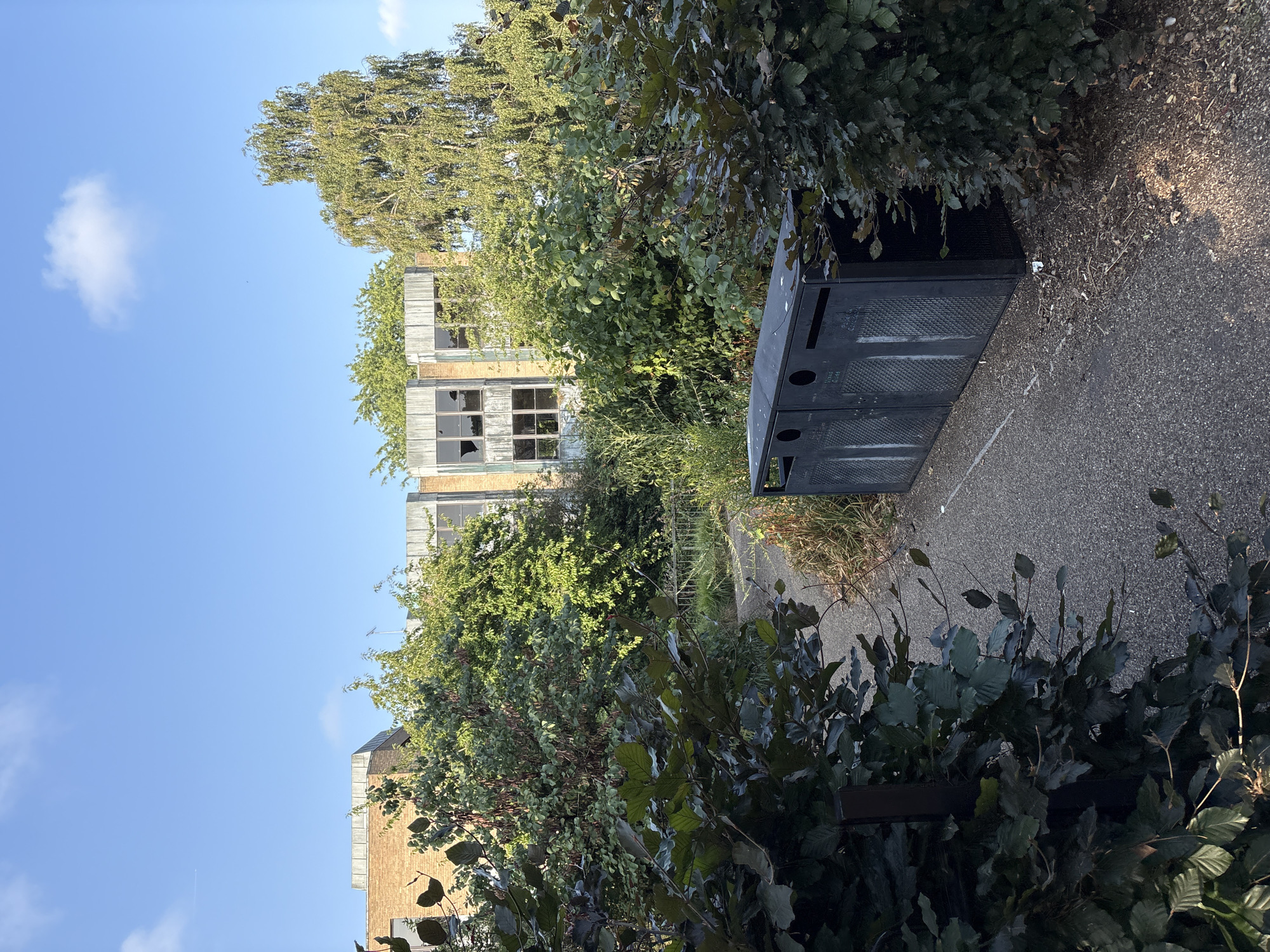 The image depicts a pathway leading towards an abandoned building, overgrown with vegetation. In the foreground, a dark grey recycling bin unit with two compartments is situated on the right side of the path. The path itself is paved and appears to be somewhat worn. Dense foliage lines both sides of the path, with larger bushes in the foreground and trees further back. The building in the background is a multi-story structure with a brick facade and large, multi-pane windows, many of which are broken or boarded up, suggesting disuse. The sky above is blue with scattered white clouds, and the overall lighting indicates it is daytime. There are no people or animals visible in the image. The scene appears to be located in a semi-naturalized urban or suburban area, possibly a disused industrial or institutional site.
