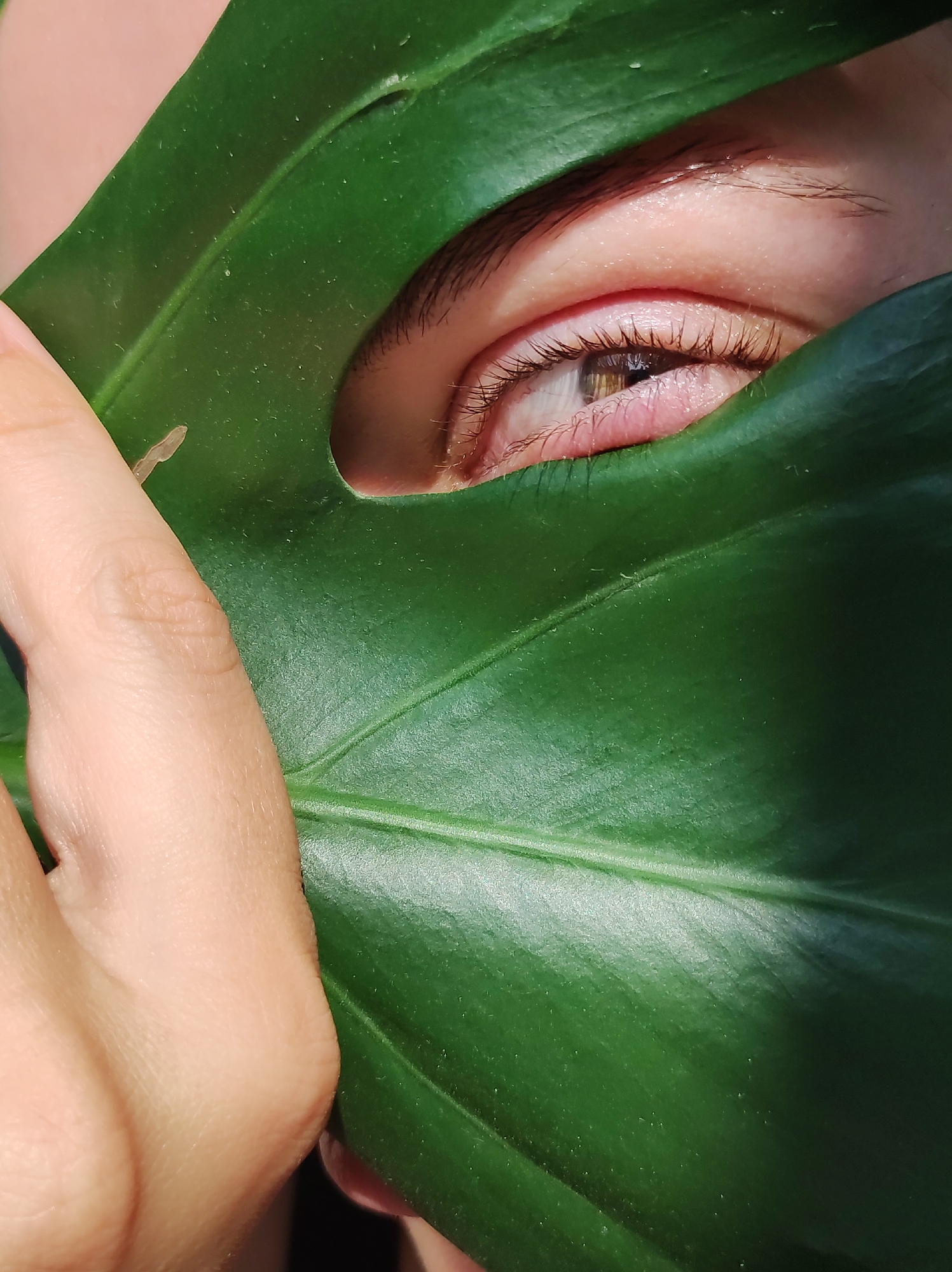A close-up image shows a human eye peering through a hole in a large green leaf. A hand holds the leaf up, partially obscuring the face. The skin appears light-toned. The specific details of the person's features and the surrounding environment are not discernible. There is no information to suggest it was taken in the city of Chaikovsky, Russia.