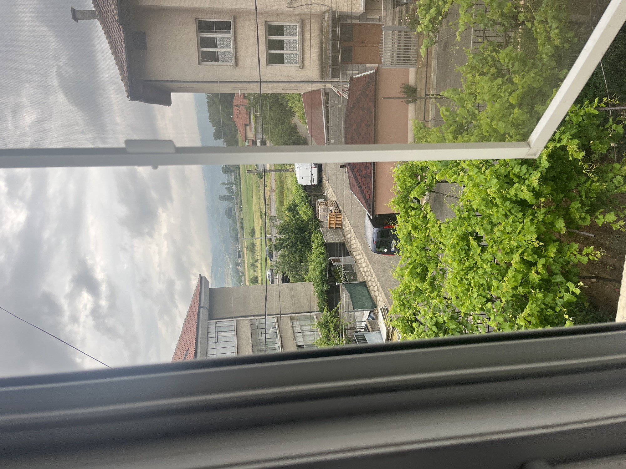 The image captures an outdoor scene viewed through an open window, looking down onto a street and residential area, with fields and mountains in the distance. The foreground is dominated by a white window frame, and a fine mesh screen partially obscures the view, especially noticeable in the upper left and upper right sections.
Immediately outside the window, to the right, are vibrant green leafy plants, possibly grapevines, creating a lush foreground. Beyond these, a street or paved area is visible. A dark-colored car is parked on the right side of the street, and further down, a white van is also parked.
The midground features several multi-story residential buildings with various architectural styles, some having tiled roofs and others flat concrete structures. Windows are visible on these buildings, some with curtains. Utility poles and power lines crisscross the scene.
In the background, beyond the immediate residential structures, lie open green fields or agricultural land, stretching towards a range of distant mountains or hills. The sky above is heavily overcast, filled with thick gray clouds, suggesting a cloudy or potentially rainy day. No specific human activity is discernable, and there is no visible text. The overall impression is that of a quiet, semi-urban or rural residential area under a cloudy daytime sky.