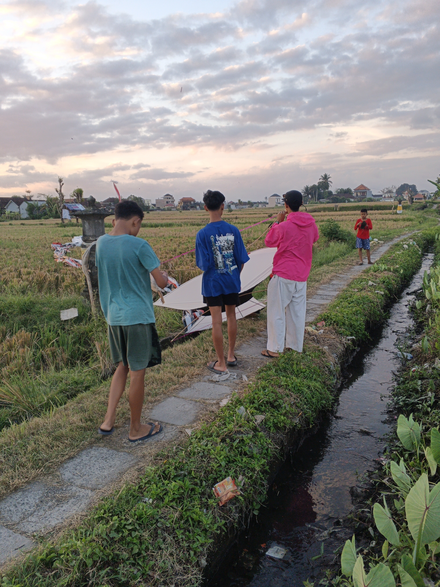 In Sukawati, Indonesia, four young individuals are gathered in a rural setting, possibly preparing to fly kites, during a serene sunset. The scene is dominated by a vast, golden-hued rice paddy, indicative of agricultural land. A narrow, dark-watered canal runs alongside a paved walkway, its banks overgrown with lush green vegetation and scattered debris.
Two individuals, dressed in casual attire, stand on the walkway, engrossed in handling a large, white, kite-like structure. The person on the left wears a teal t-shirt and dark shorts, while the one in the middle is in a blue t-shirt and black shorts. To their right, a person in a vibrant pink hoodie and white pants holds a string, seemingly connected to the kite, suggesting active engagement in its preparation or flight. Further down the walkway, a fourth individual, wearing a red t-shirt and blue shorts, stands observing the activity.
The sky above is a canvas of soft, pastel colors, with scattered clouds tinged with the warm hues of the setting sun. In the background, a few houses and structures dot the horizon, hinting at a nearby village. The overall atmosphere is one of quiet camaraderie and a leisurely rural pastime, set against the backdrop of an Indonesian sunset.