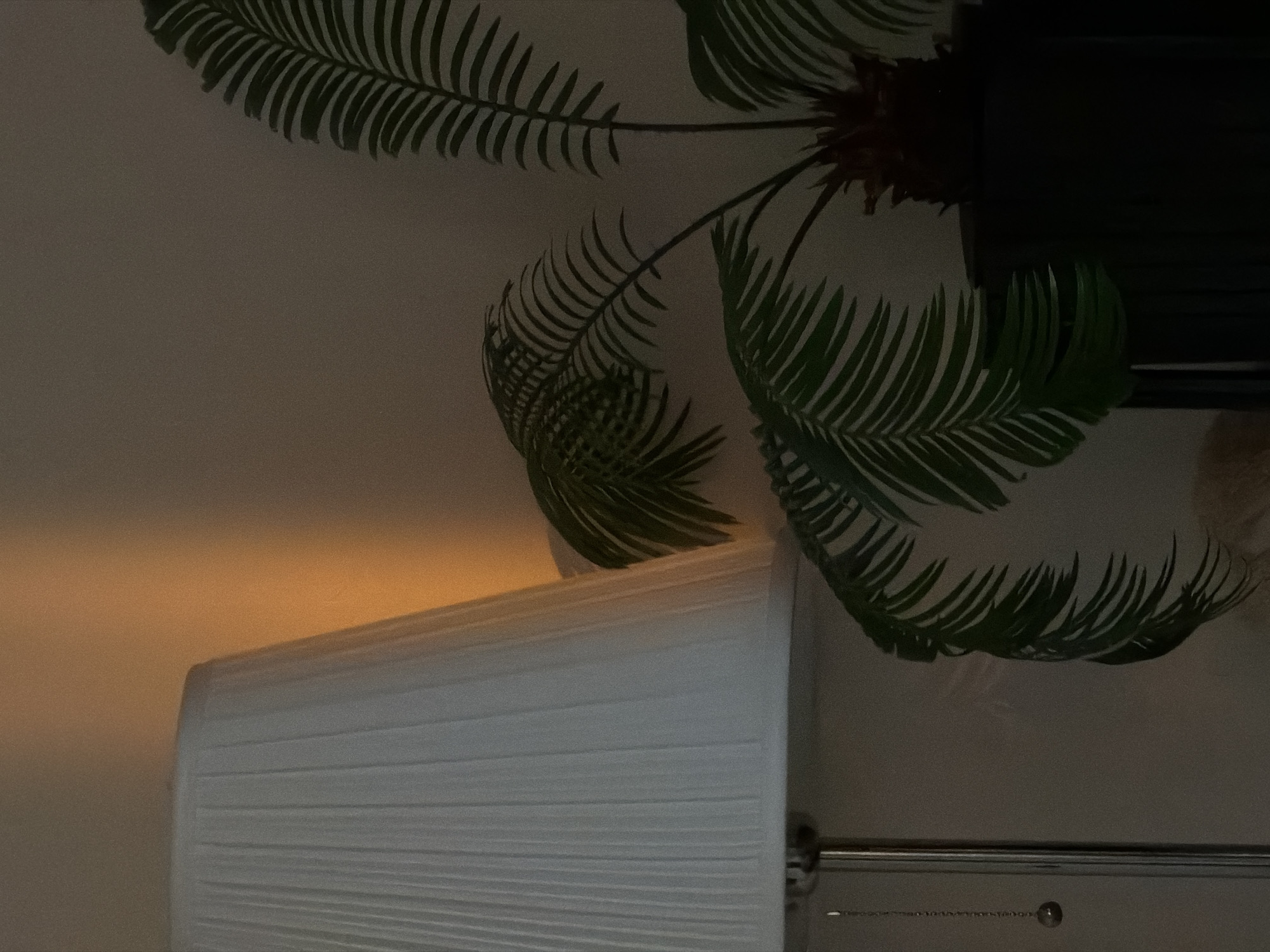 The image depicts a close-up view of a white pleated lampshade, illuminated by a warm, orange light source, likely a lamp. The light casts a soft glow on the left side of the lampshade, creating a gradient of illumination. Above and to the right of the lampshade, artificial palm fronds are visible, their dark green leaves creating a contrasting texture against the muted background. One of the palm fronds extends over the top edge of the lampshade. The background appears to be a wall with a subtle texture and a faint, possibly grey, hue. A dark rectangular object, possibly a piece of furniture or an appliance, is visible in the upper right corner, partially obscured by the palm fronds. The overall impression is one of indoor ambiance, with a focus on soft lighting and decorative elements. There is no visible text in the image. The time of day and weather conditions are not discernible from the image. The location context of Odintsovo, Russia, does not provide further visual cues within the frame.