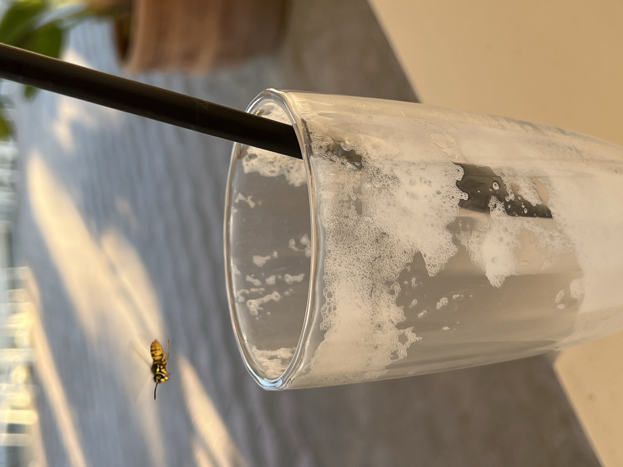 A close-up, eye-level shot features an empty, clear glass with remnants of foam and a black straw inside, positioned in the foreground. A yellow and black wasp is captured mid-flight in the upper left portion of the frame. In the background, a terracotta pot with a plant is visible, along with dappled sunlight casting shadows on a textured surface, suggesting an outdoor setting. The lighting indicates it is daytime. The scene is likely set in a public outdoor area in Eretria Municipal Unit, Greece, possibly a cafe or restaurant patio.