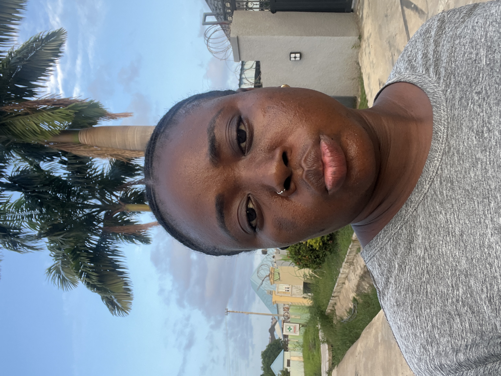 A person wearing a gray shirt is positioned outdoors, possibly in a residential area in Abuja, Nigeria. The person has dark skin, and a small ring is visible in the left nostril. A palm tree is visible to the left, and in the background, there is a building with barbed wire on top of the wall. A street and other buildings can be seen further back. The sky is light blue, suggesting it may be daytime.