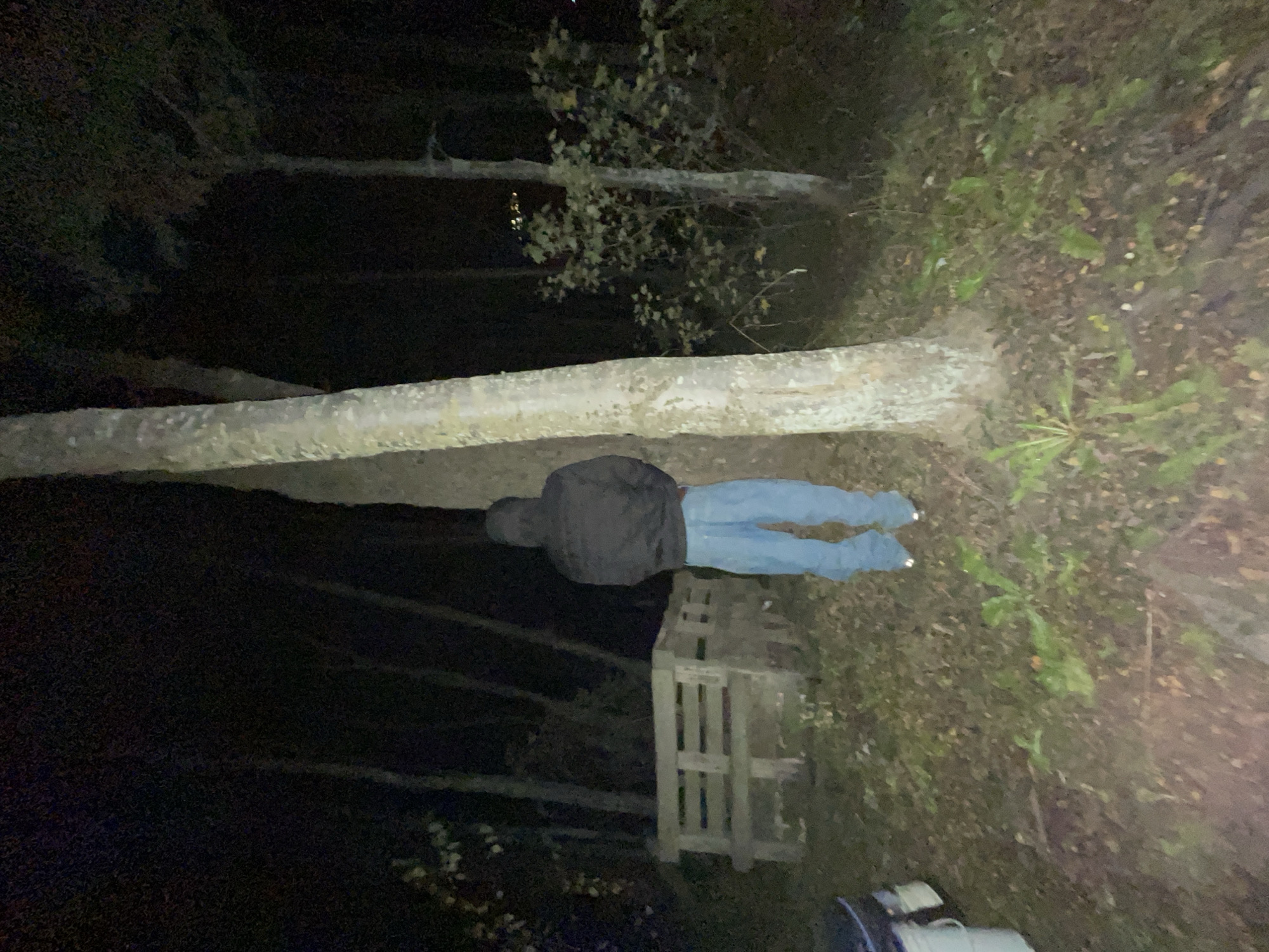 A person lying face down on the ground in a wooded area at night. The person is wearing blue jeans and a dark jacket with a hood. There is a tree trunk directly above the person, and vegetation and a wooden structure nearby. The location is unknown and cannot be determined from the image. Ushuaia, Argentina cannot be verified.