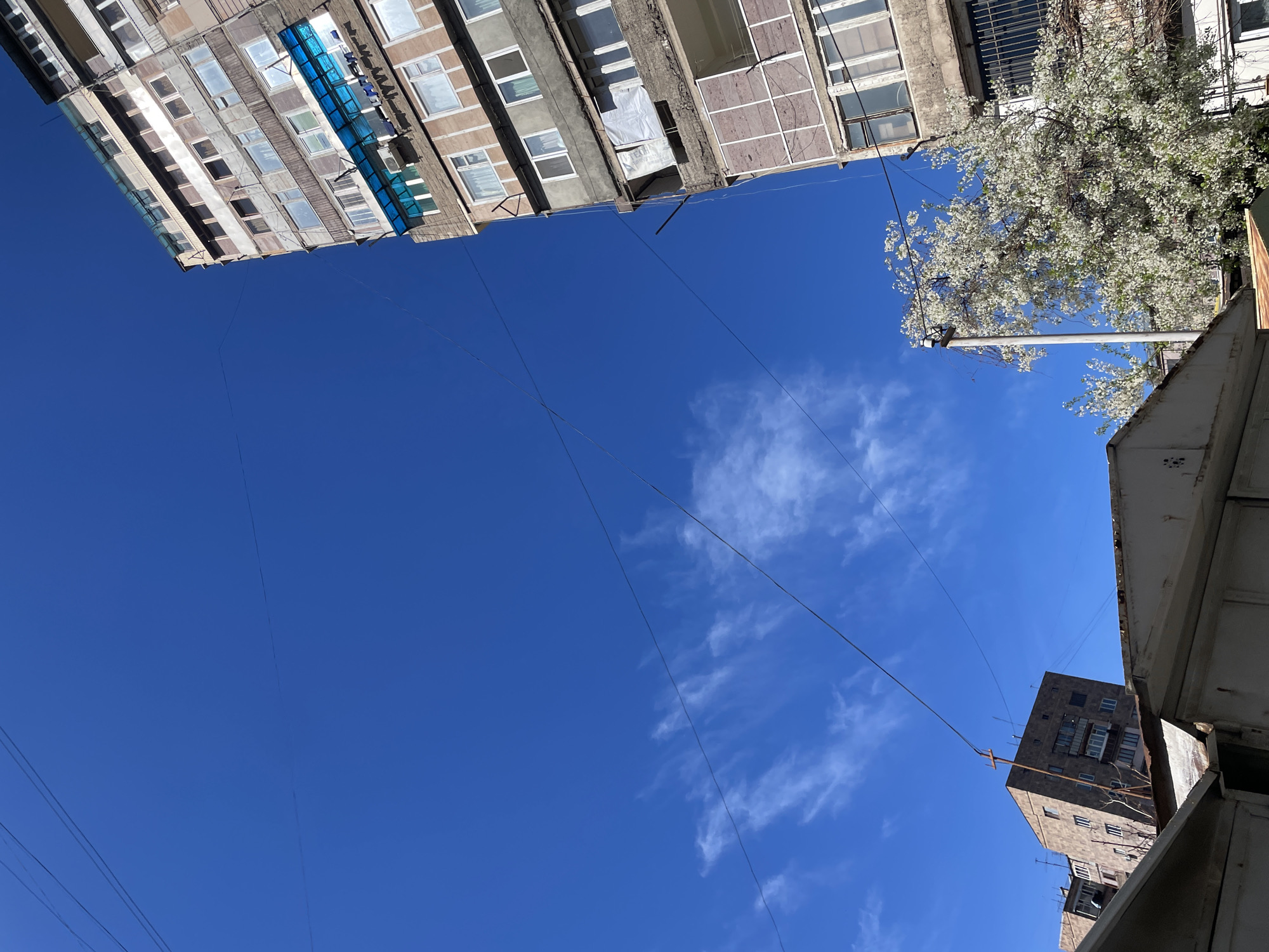 The image provides a low-angle, upward-looking view of an urban environment under a clear blue sky. Dominating the center is a vast expanse of bright blue sky, speckled with wispy white clouds, indicating sunny daytime conditions. Multiple thin, dark utility wires or cables crisscross the sky, typical of an urban landscape.
Along the top left, a multi-story residential building, likely an apartment block, is angled diagonally into the frame. It features a light-colored facade with numerous windows, some of which have blinds or curtains, and a few balconies with blue translucent canopies.
On the upper right side, a lush tree covered in abundant white blossoms extends into the frame, obscuring part of a building behind it. Below the tree, a section of a utility pole or street light is visible. Further down on the right, the corner of another multi-story building with a darker, possibly stone or concrete facade and visible windows is present. In the immediate foreground on the far right, a fragment of a lighter-colored building's upper edge or roofline can be seen.
The scene depicts a bright, clear day, likely in spring due to the blossoming tree, in what appears to be a bustling city. No people or visible text are present. The architectural styles suggest a post-Soviet urban setting, consistent with Yerevan, Armenia.
