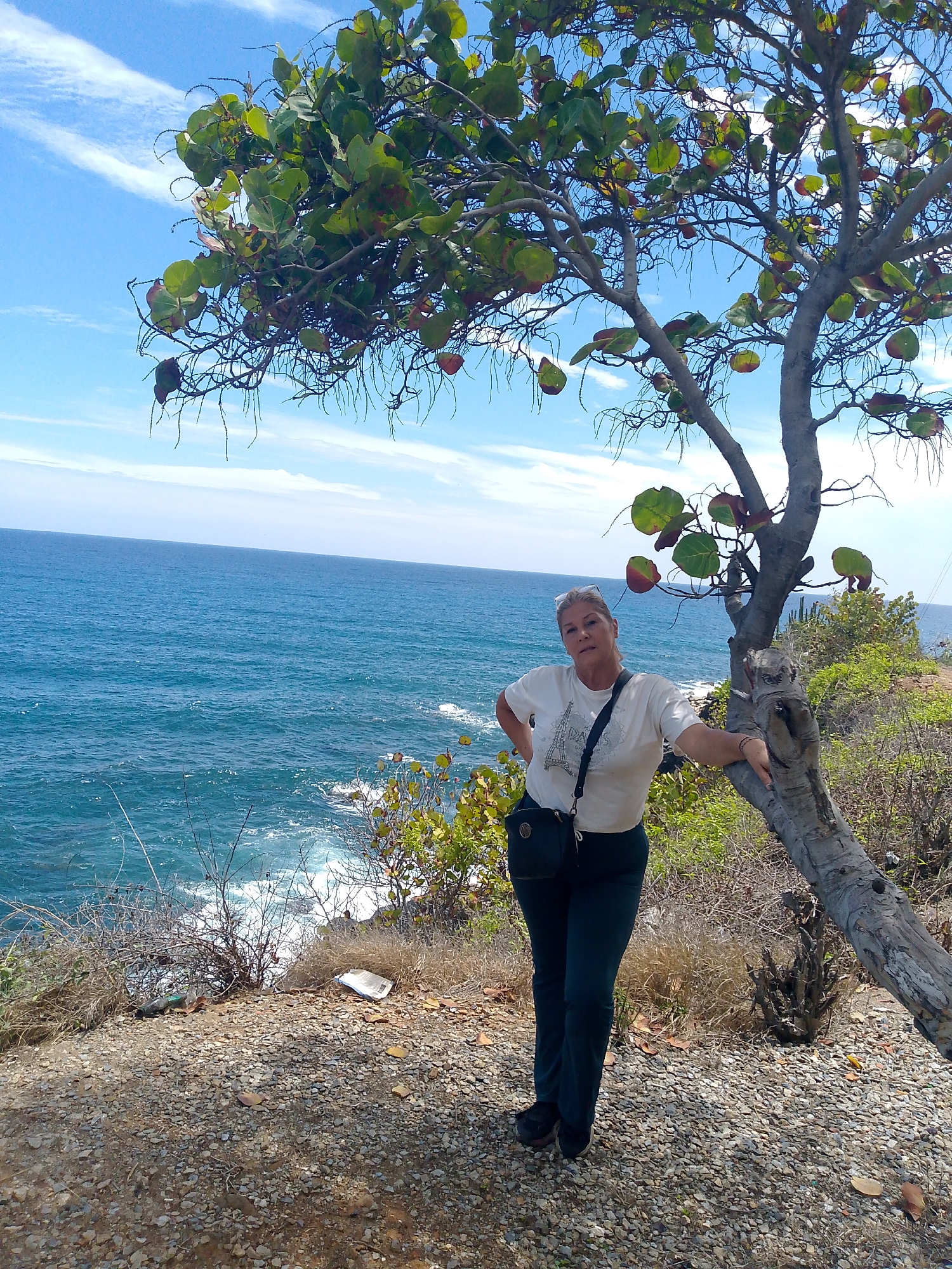 An outdoor, eye-level full shot captures a woman posing by a tree on a sunny day, overlooking the ocean from a cliffside.
The main subject is a woman with light-colored hair, appearing to be middle-aged, standing slightly to the right of the frame's center. She wears a white short-sleeved t-shirt with a graphic of what appears to be the Eiffel Tower, dark trousers, and dark sneakers. A dark cross-body bag hangs across her front. She leans her left arm against the trunk of a tree and places her right hand on her hip, looking directly at the viewer with a calm expression.
The setting is a coastal clifftop. The foreground consists of dry, gravelly earth with patches of dry grass and sparse vegetation. Notably, there's a plastic bottle and a piece of white paper or cardboard littering the ground near the cliff's edge.
A distinctive tree with a gnarled, light-colored trunk and sparse branches featuring large, round, green and reddish-tinged leaves dominates the right side of the frame, providing shade for the woman. Beyond the cliff and the woman, a vast expanse of deep blue ocean stretches to the horizon, with white-capped waves visible breaking near the base of the cliff. The sky above is bright blue with scattered wispy white clouds.
The image appears to be taken during the day, likely midday or early afternoon, given the bright illumination and clear skies, suggesting pleasant weather conditions. The overall mood is serene, depicting someone enjoying a scenic coastal view. There is no clearly discernible text beyond the graphic on the woman's shirt.